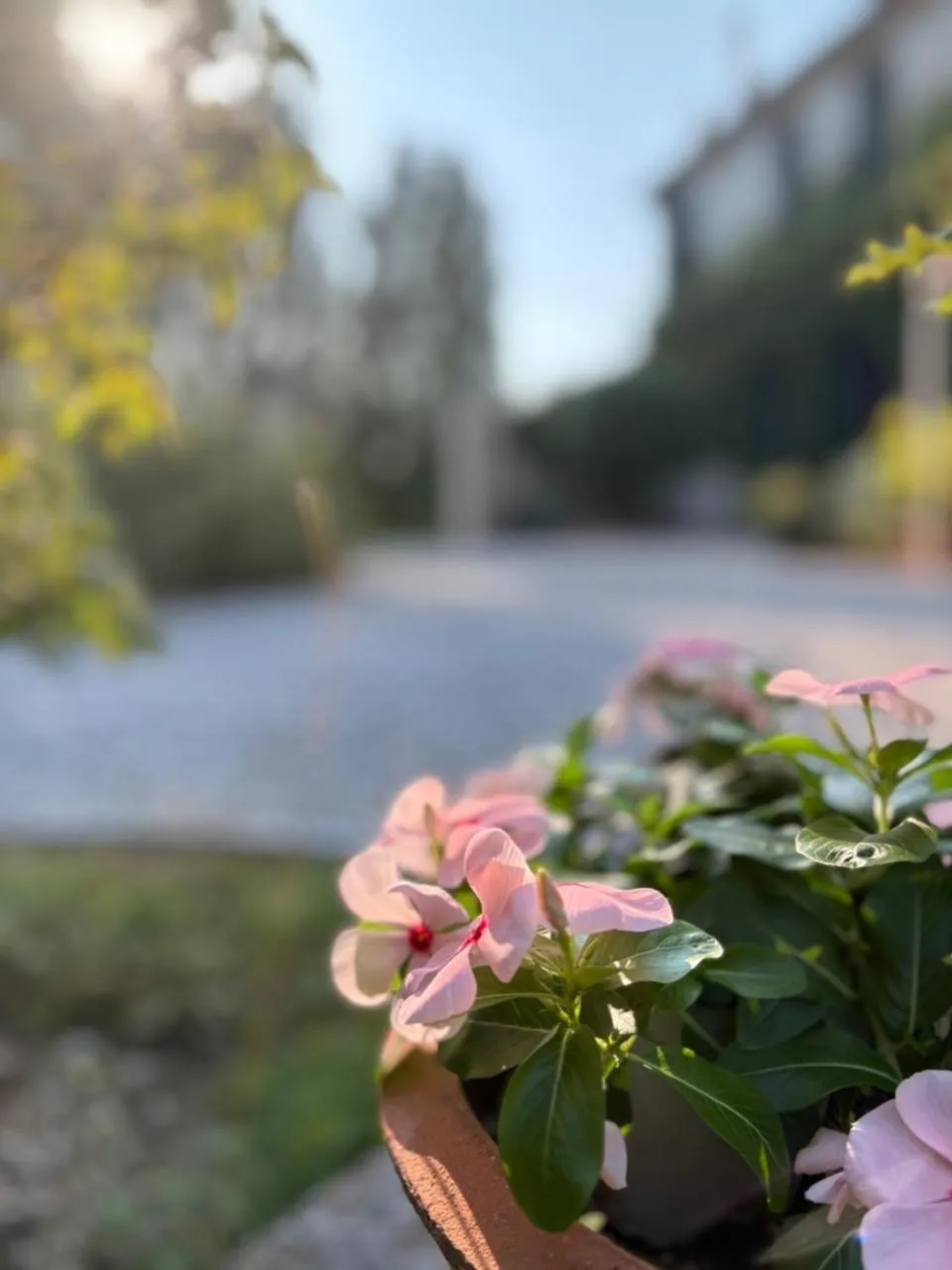 Garden in B&B Villa Gradenigo
