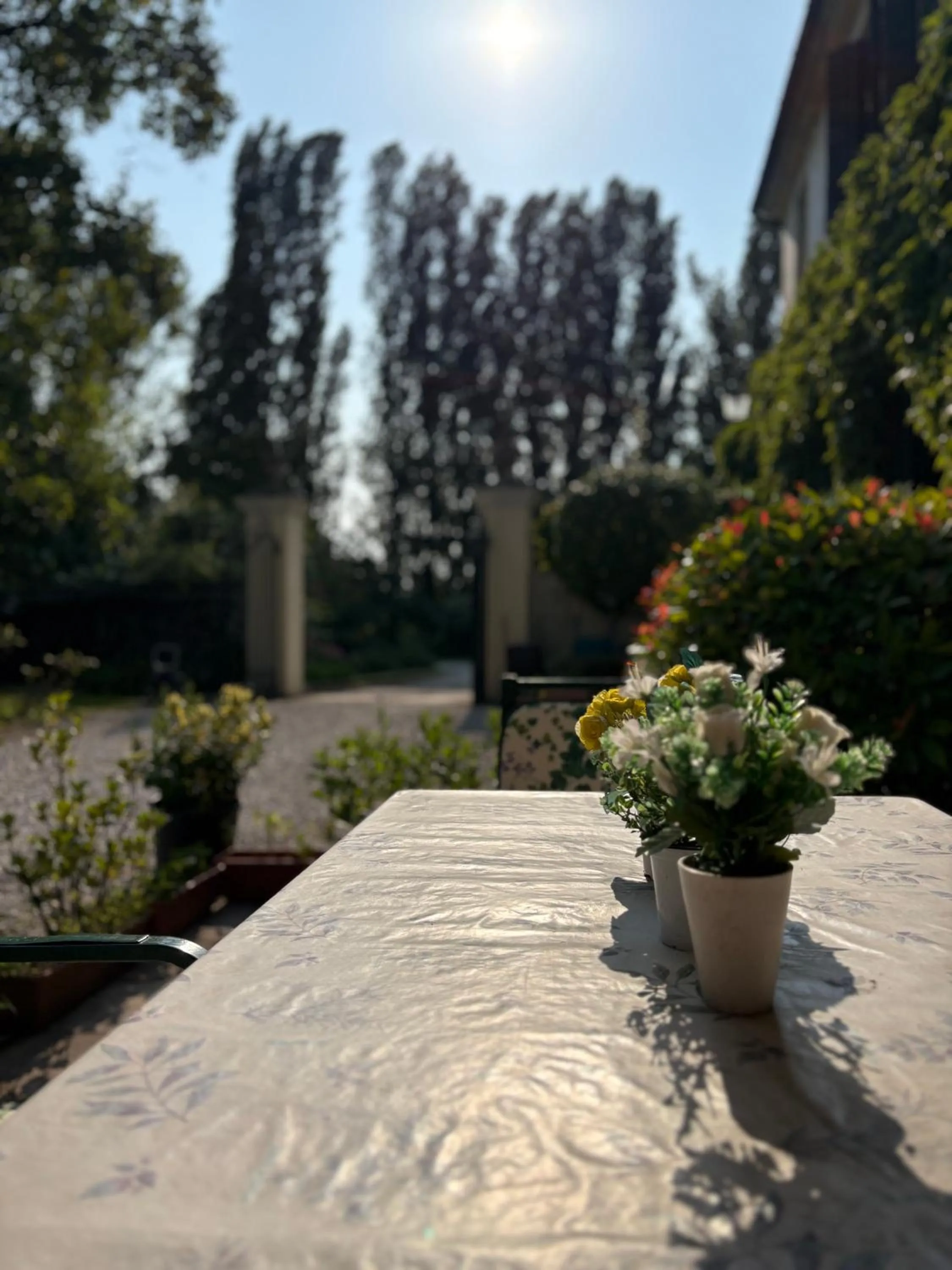 Breakfast in B&B Villa Gradenigo