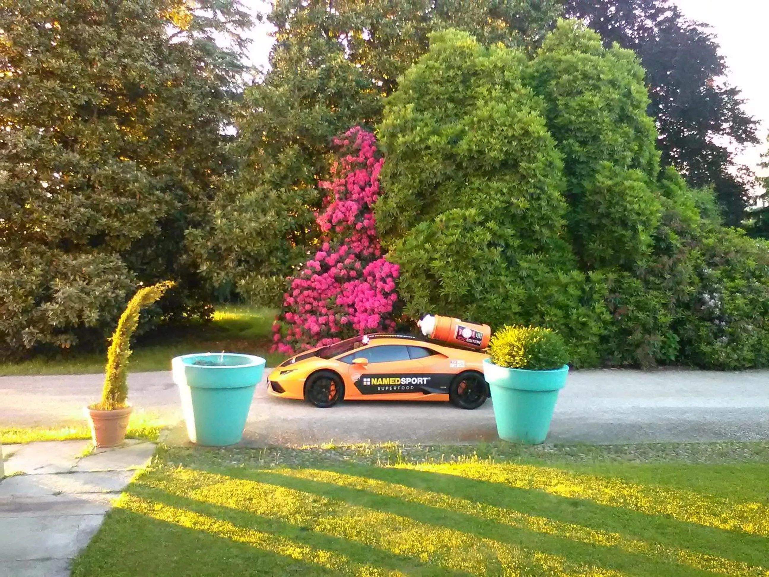 Garden in B&B Villa Cernigliaro Dimora Storica