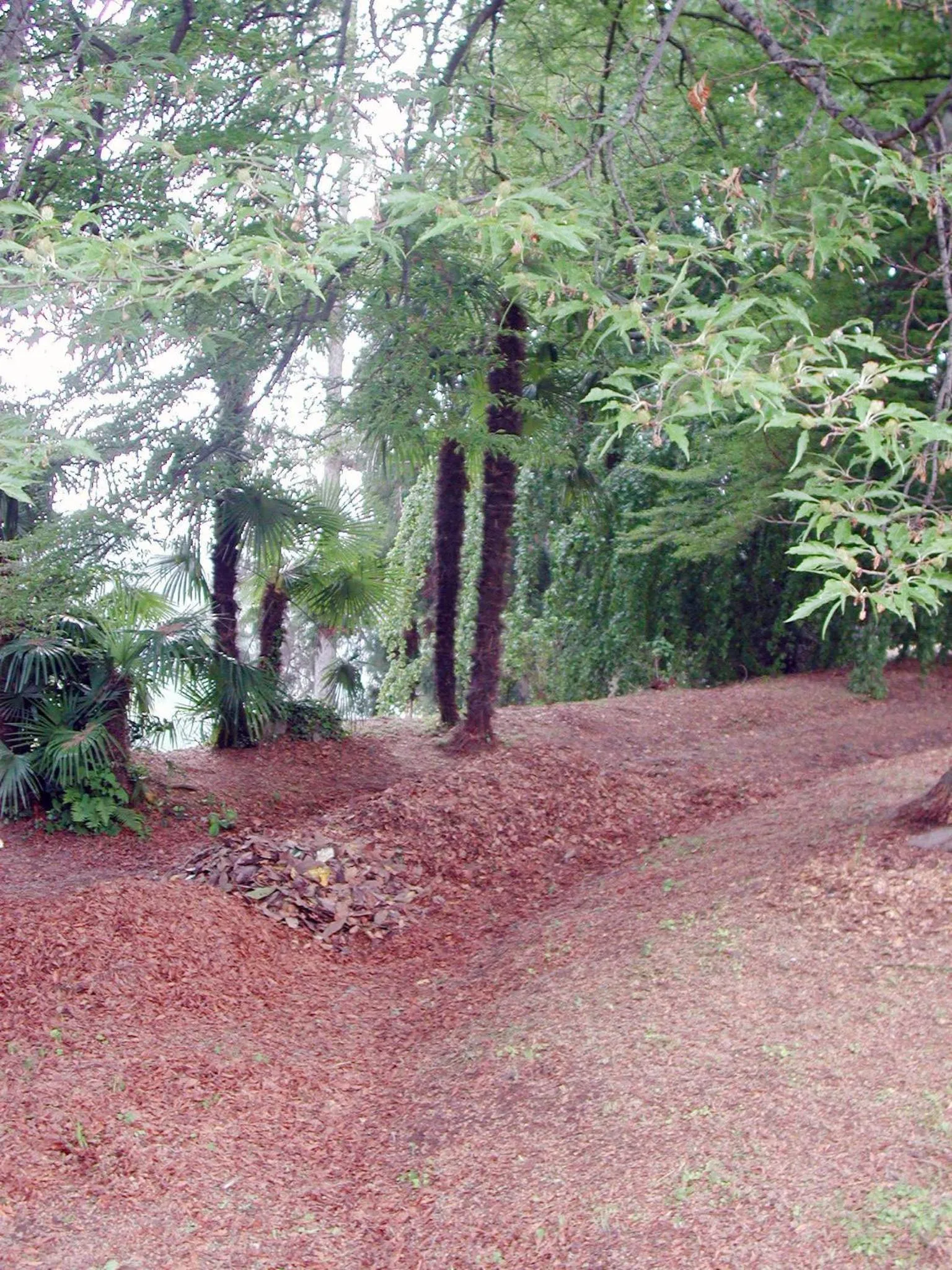 Garden in B&B Villa Cernigliaro Dimora Storica