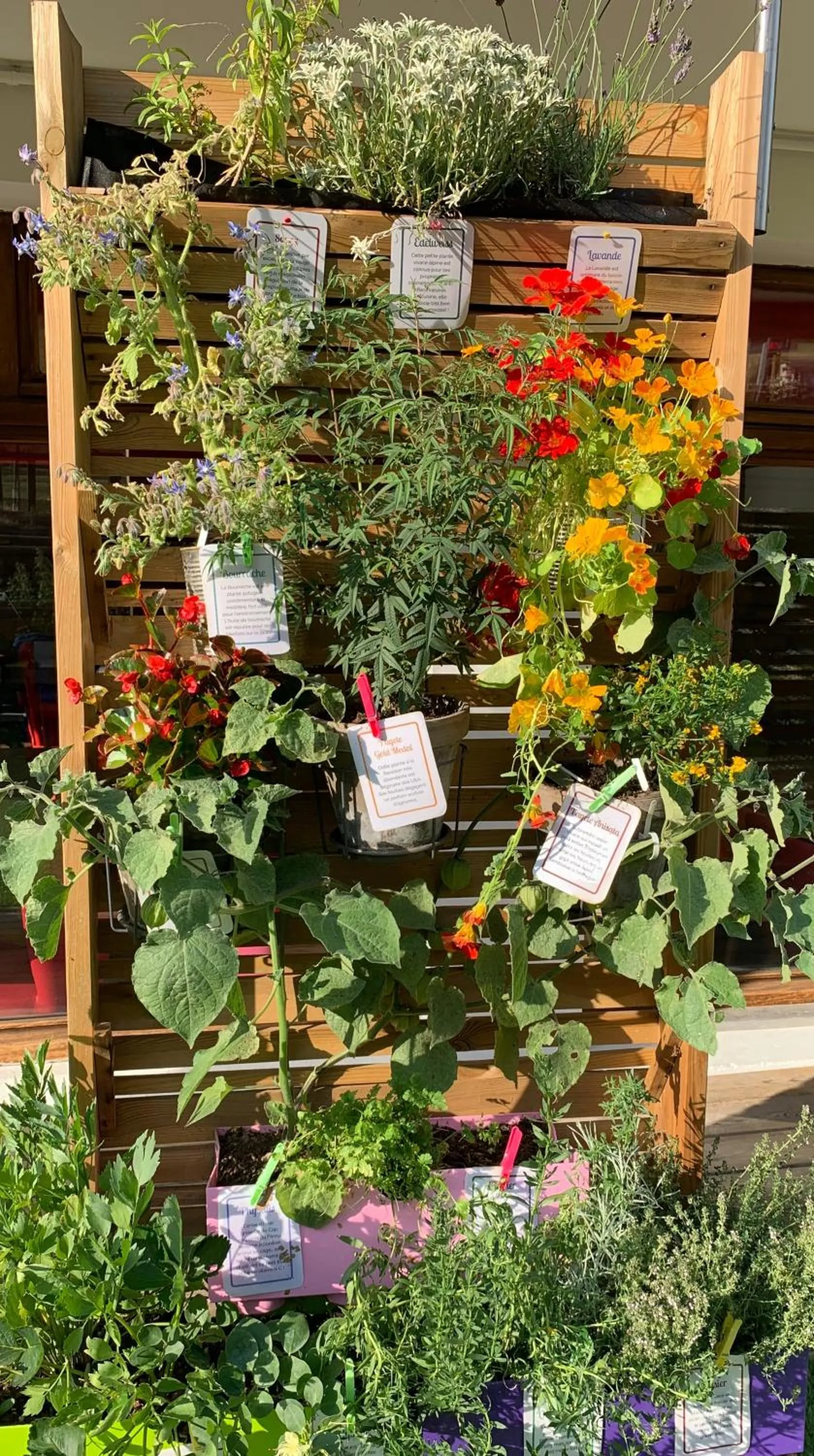 Patio in Hotel Le Tremplin