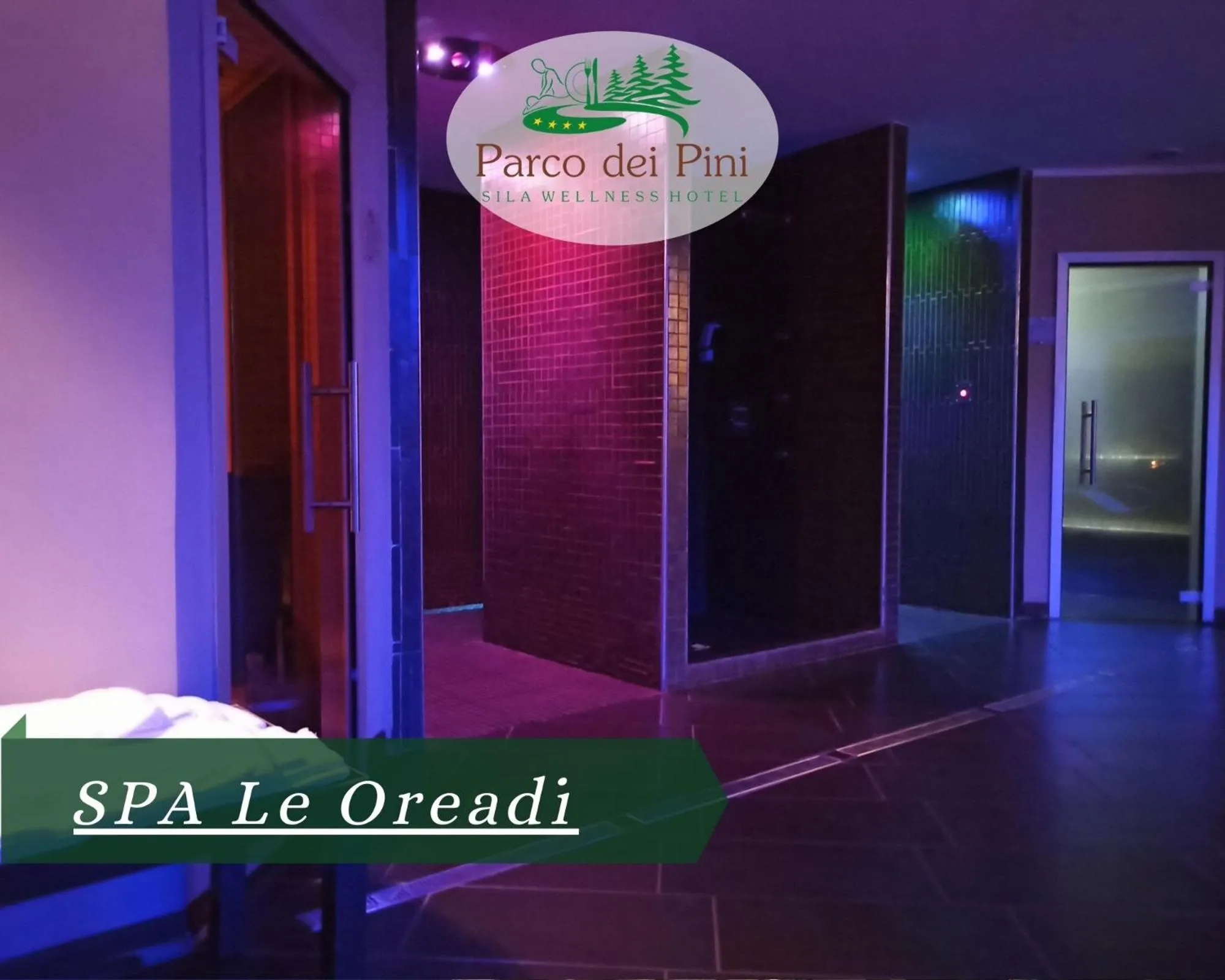 Spa and wellness centre/facilities in Parco dei Pini - Sila Wellness Hotel