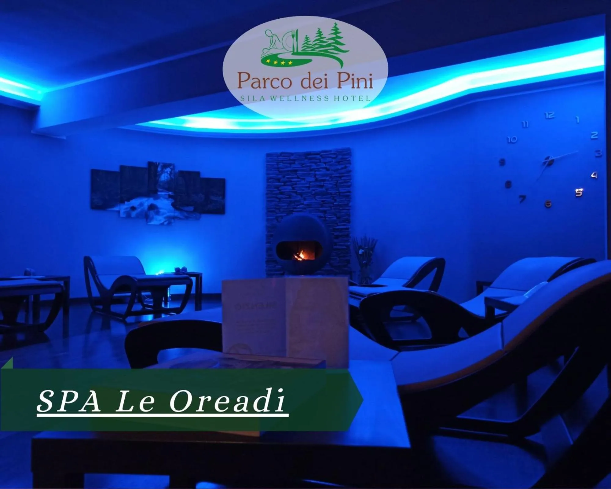 Spa and wellness centre/facilities in Parco dei Pini - Sila Wellness Hotel