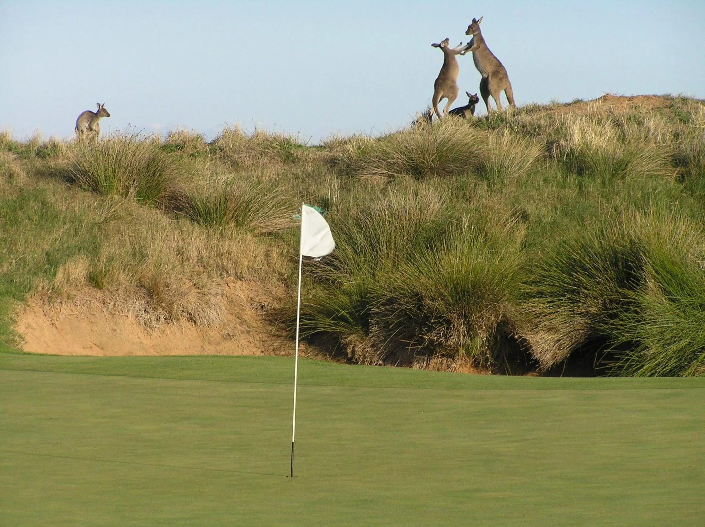 Golfcourse in Lady Bay Hotel