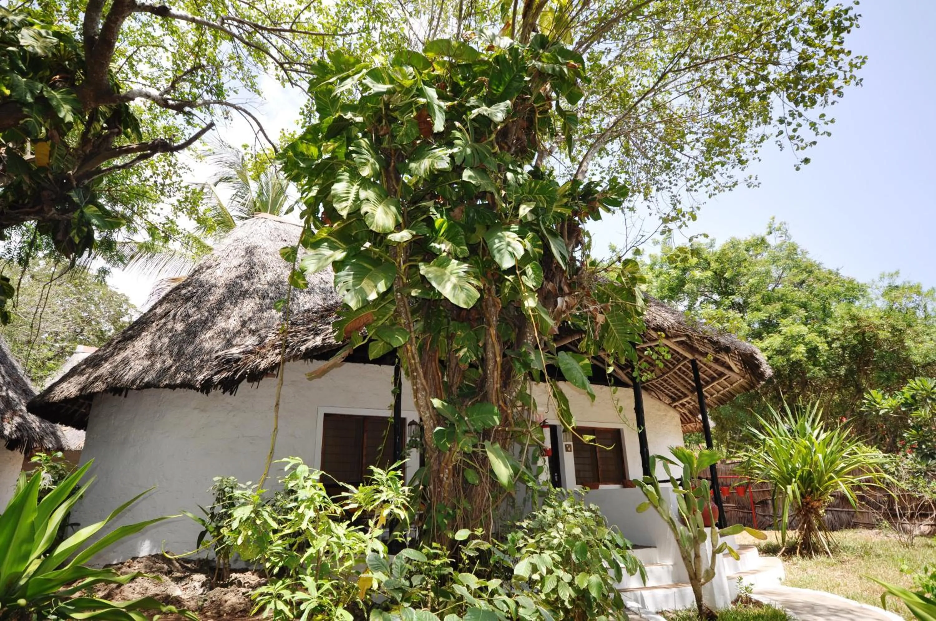Lake view in Baobab Sea Lodge