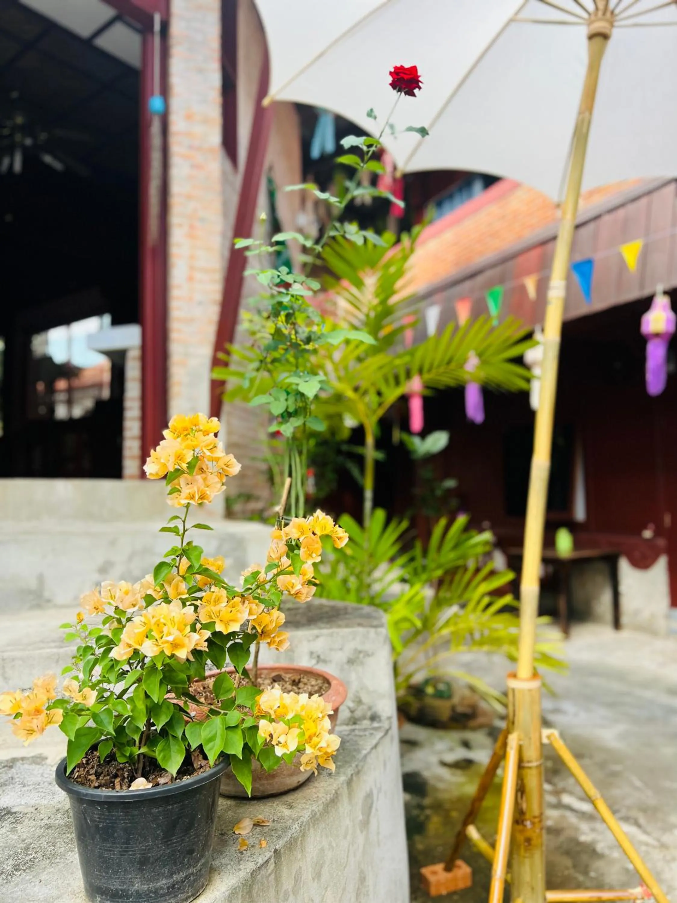 Property building in Boutique House Nipha