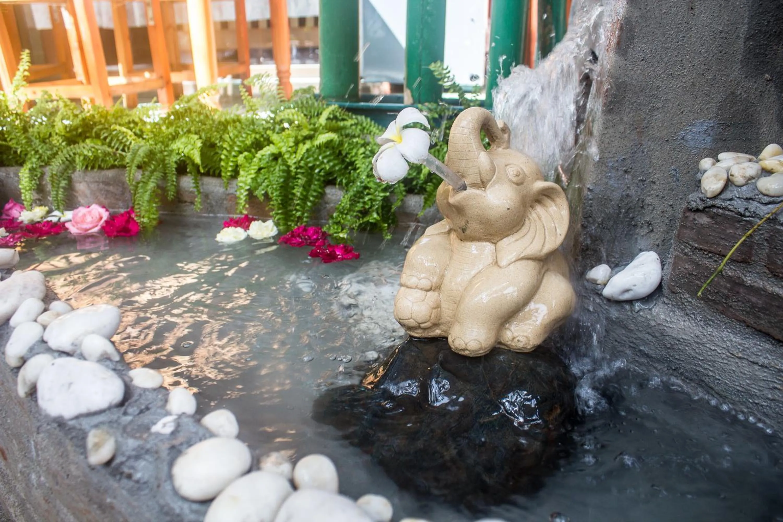 Day in Boutique House Nipha