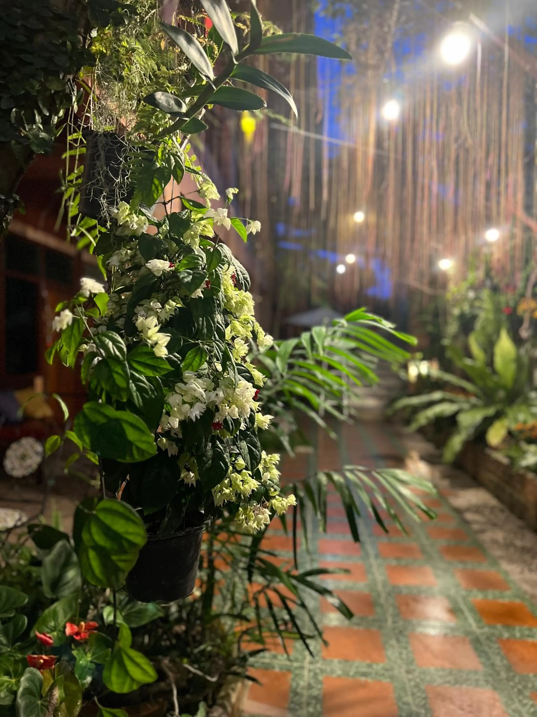 Property building in Boutique House Nipha