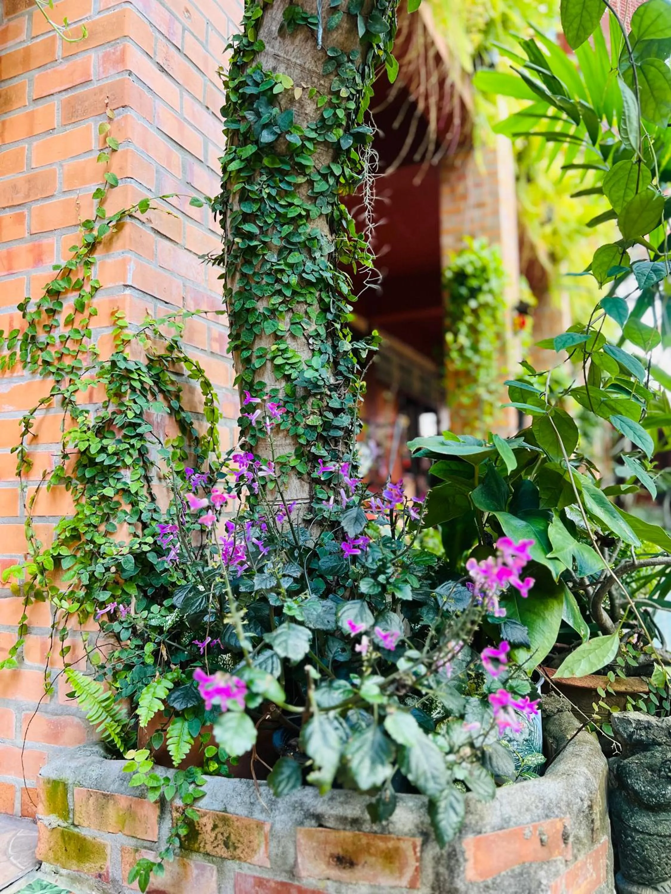 Property building in Boutique House Nipha