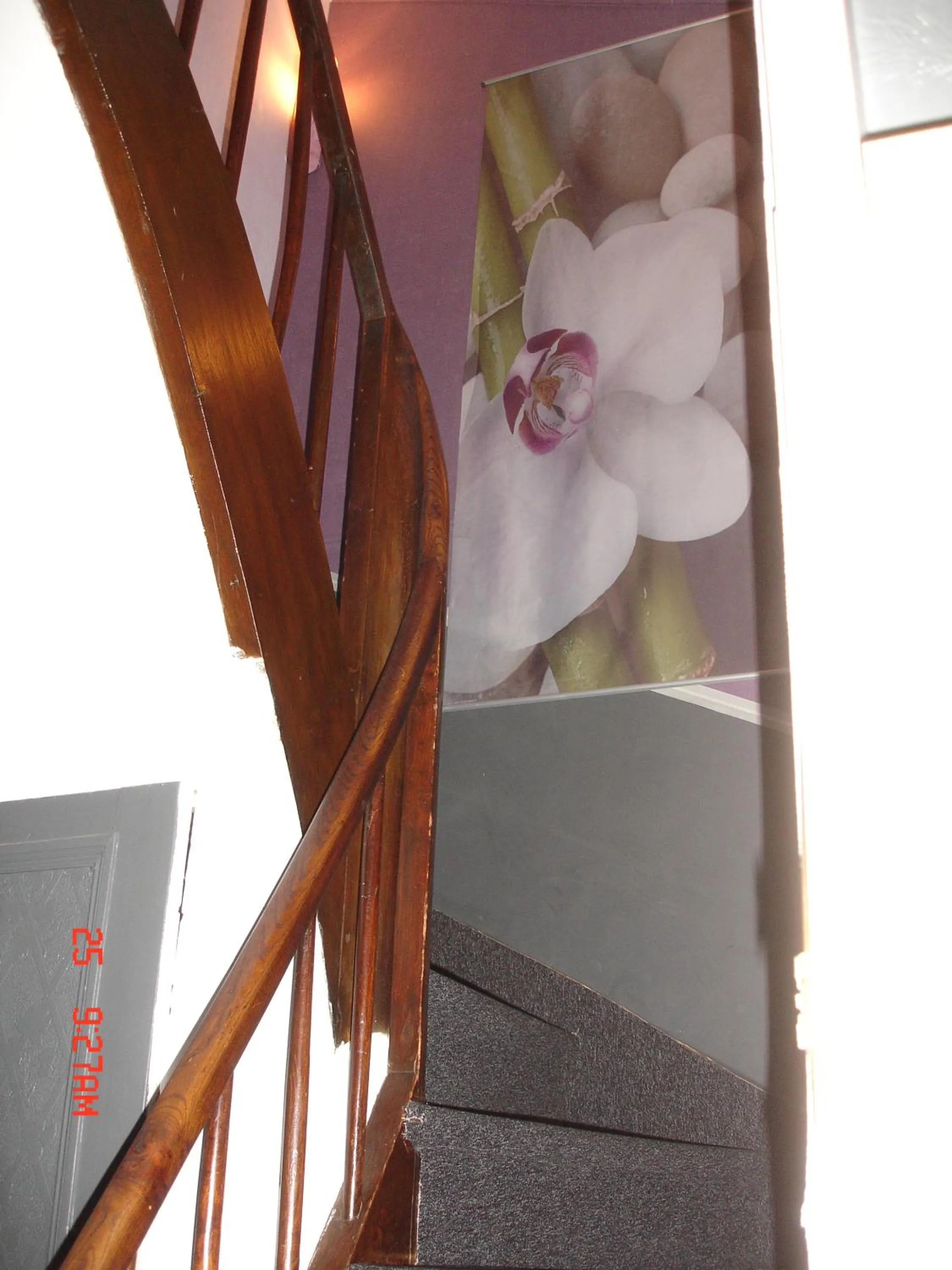 Other in Hôtel de La Marmotte