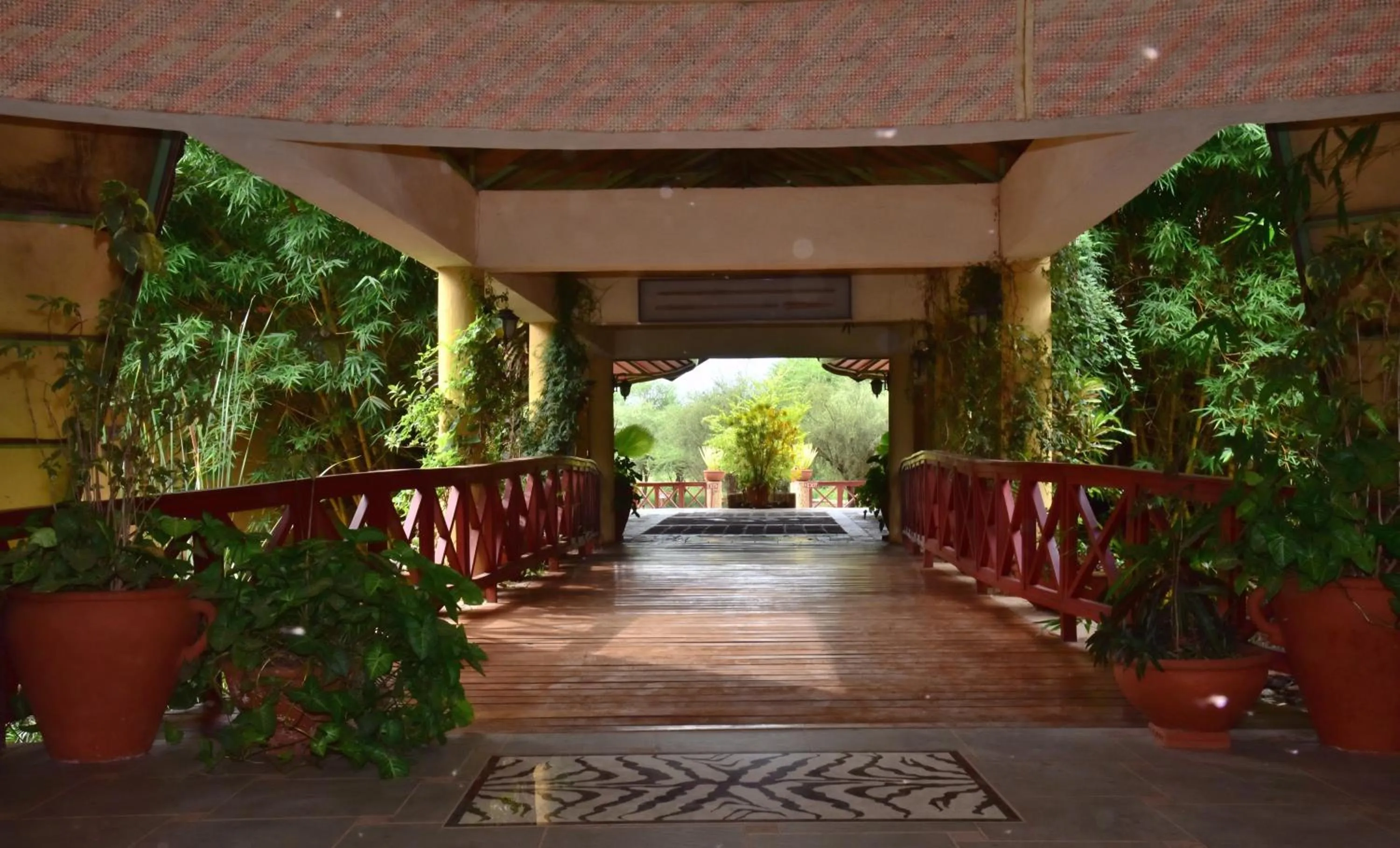 Other in Kilima Safari Camp