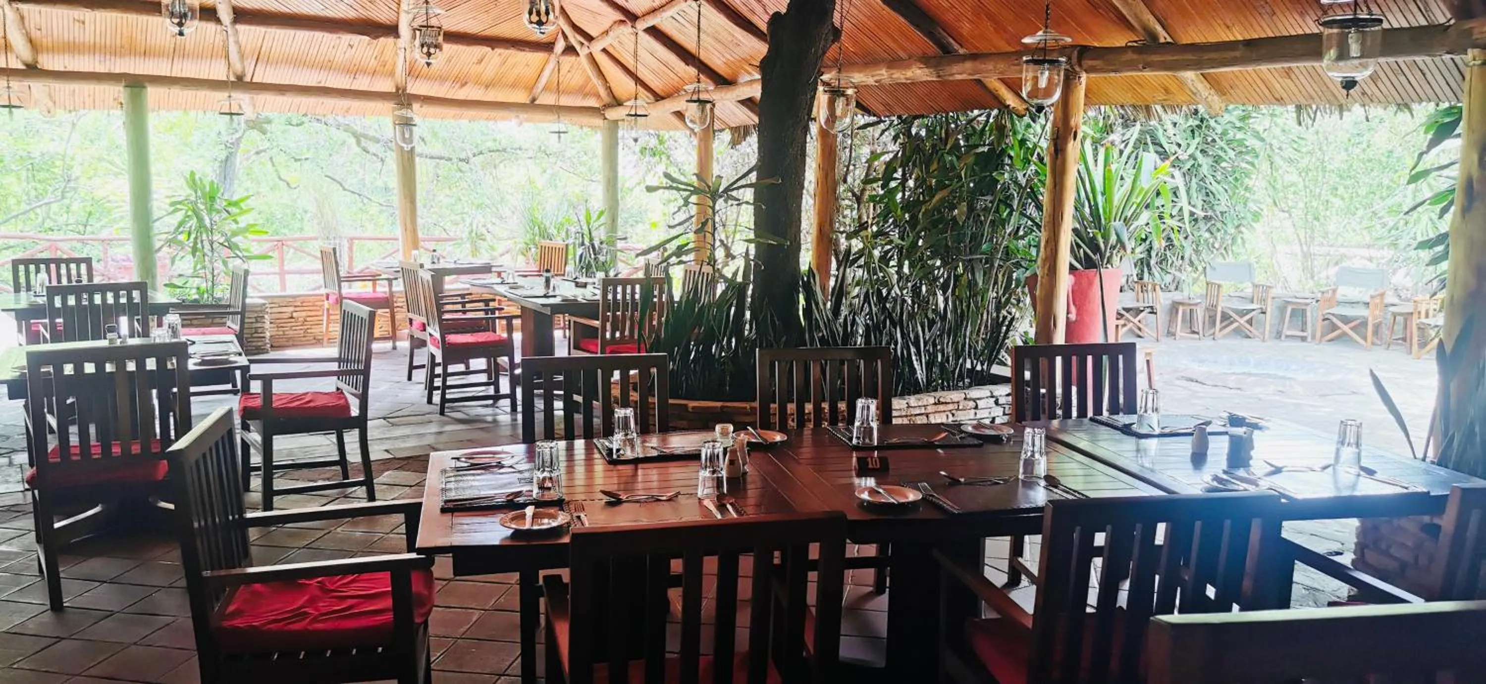 Restaurant/places to eat in Fig Tree Camp - Maasai Mara