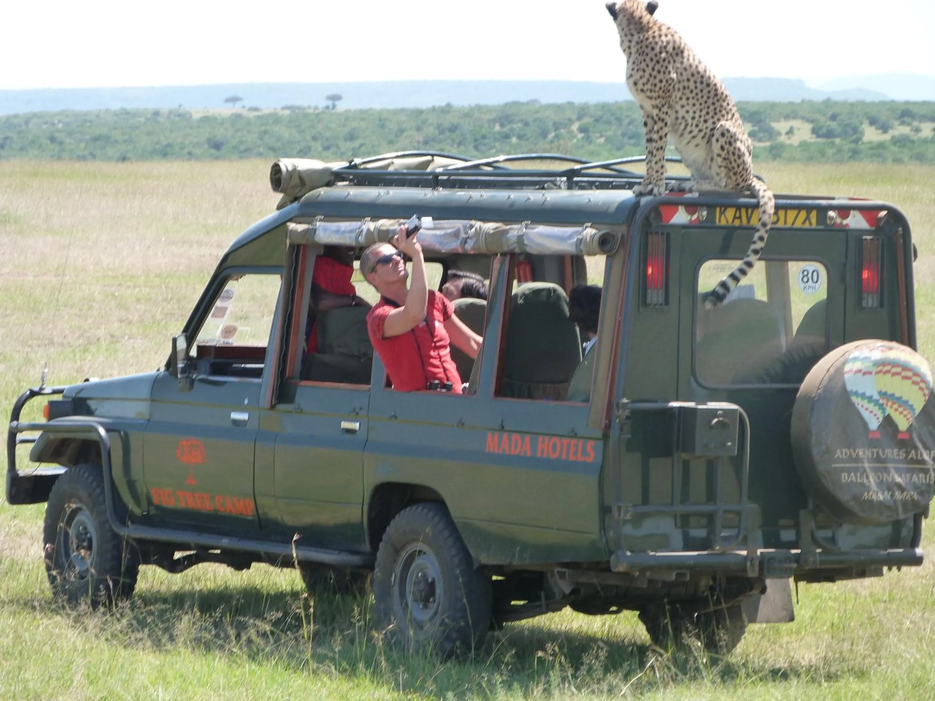 Day in Fig Tree Camp - Maasai Mara
