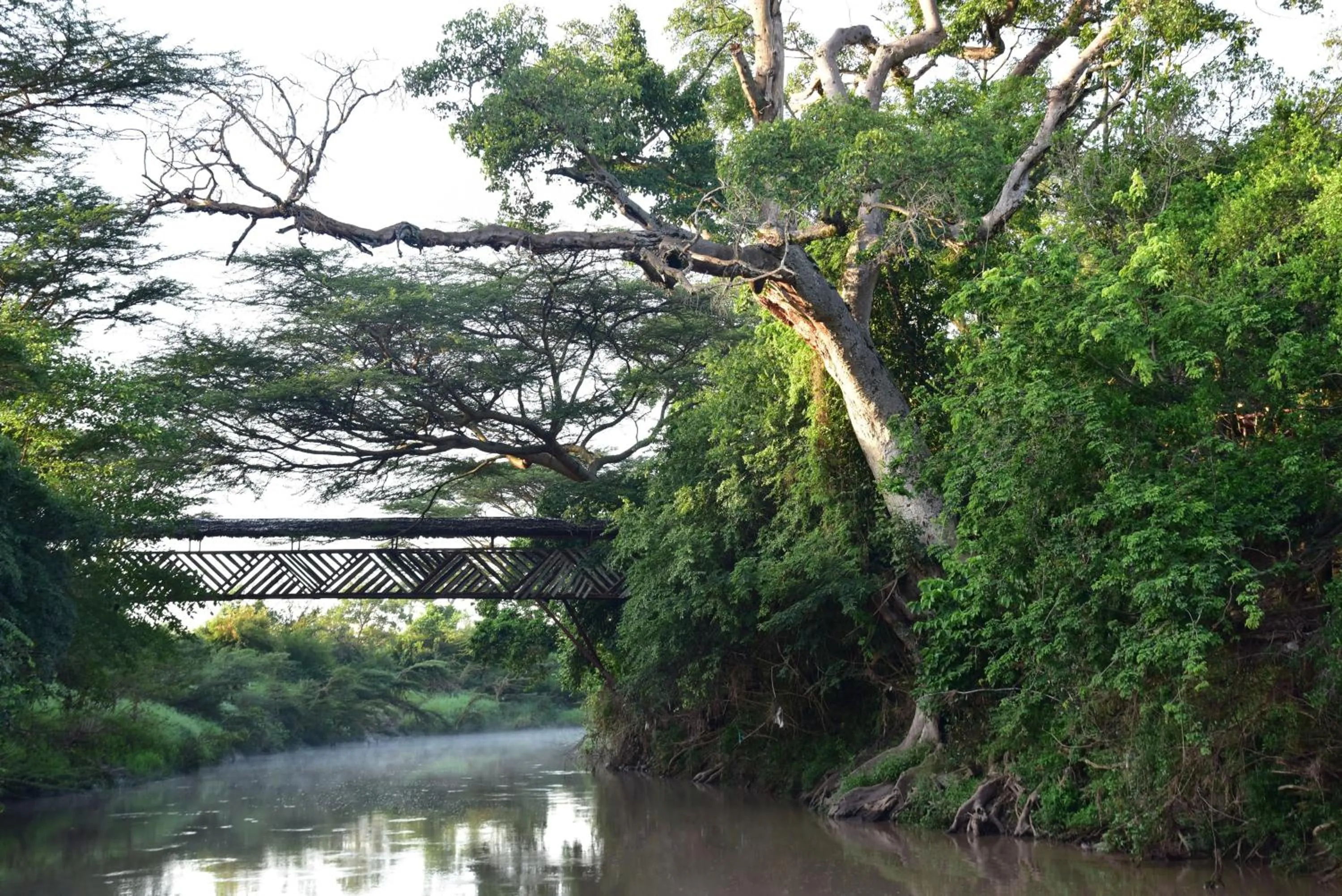 River view in Fig Tree Camp - Maasai Mara