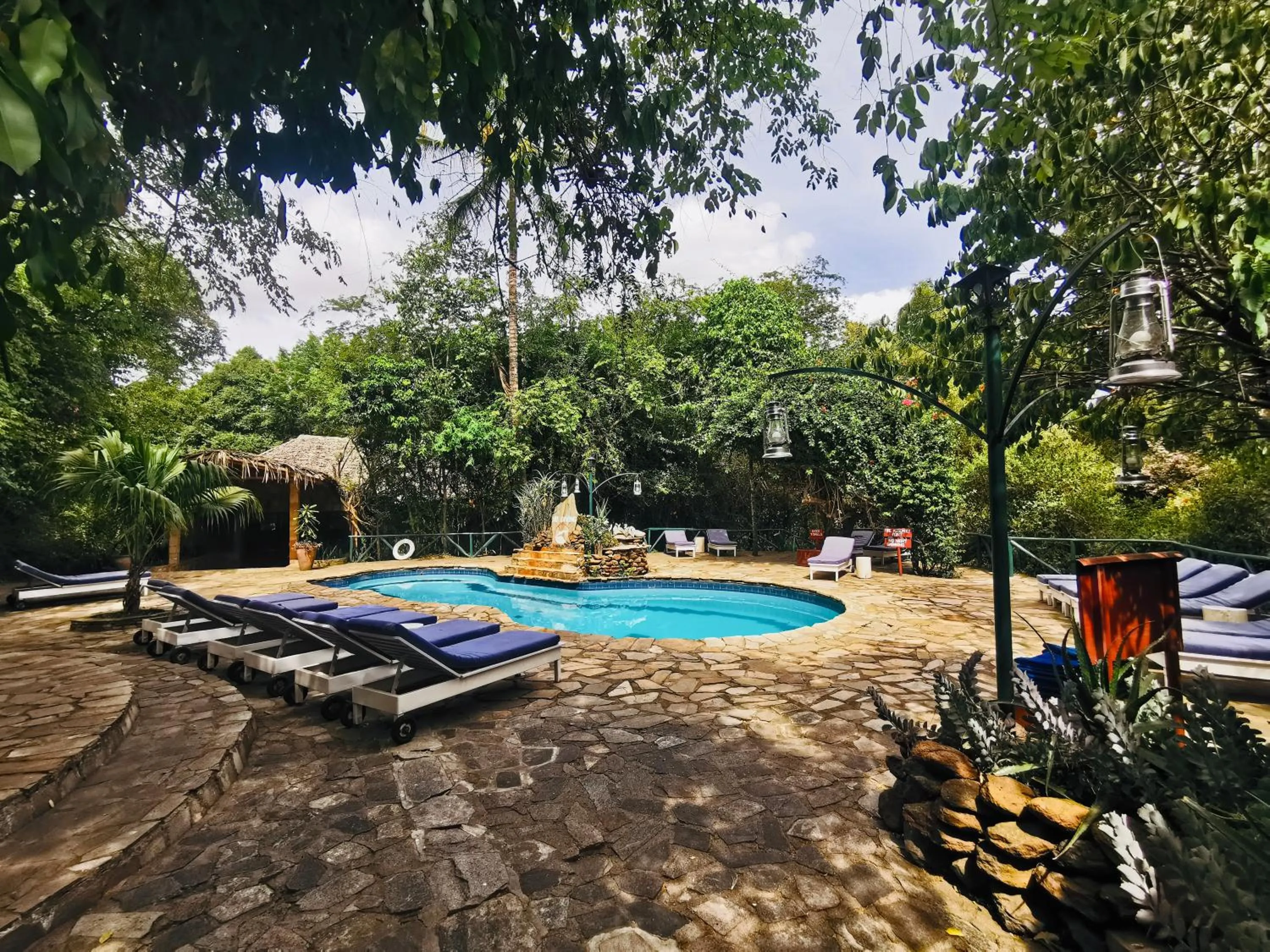 Swimming pool in Fig Tree Camp - Maasai Mara