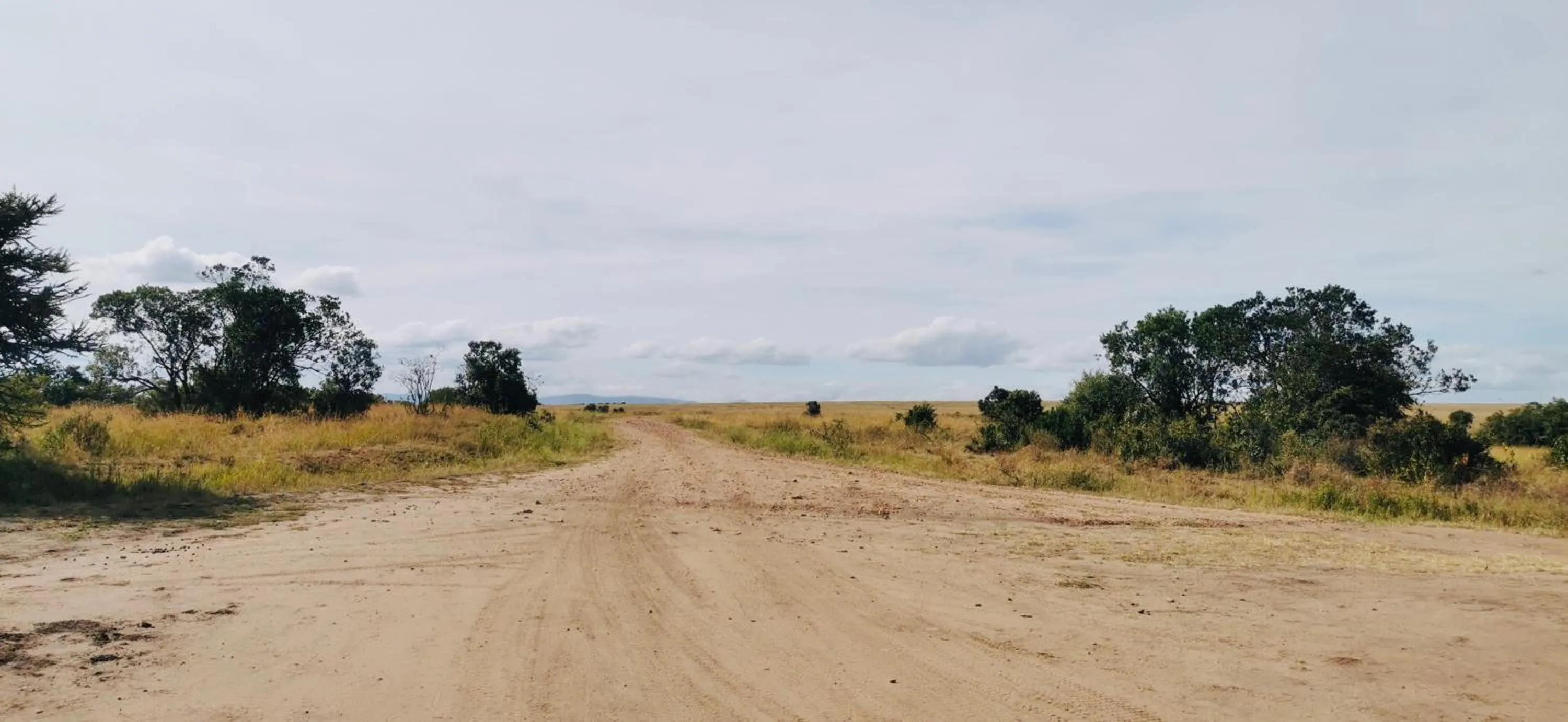 Activities in Fig Tree Camp - Maasai Mara