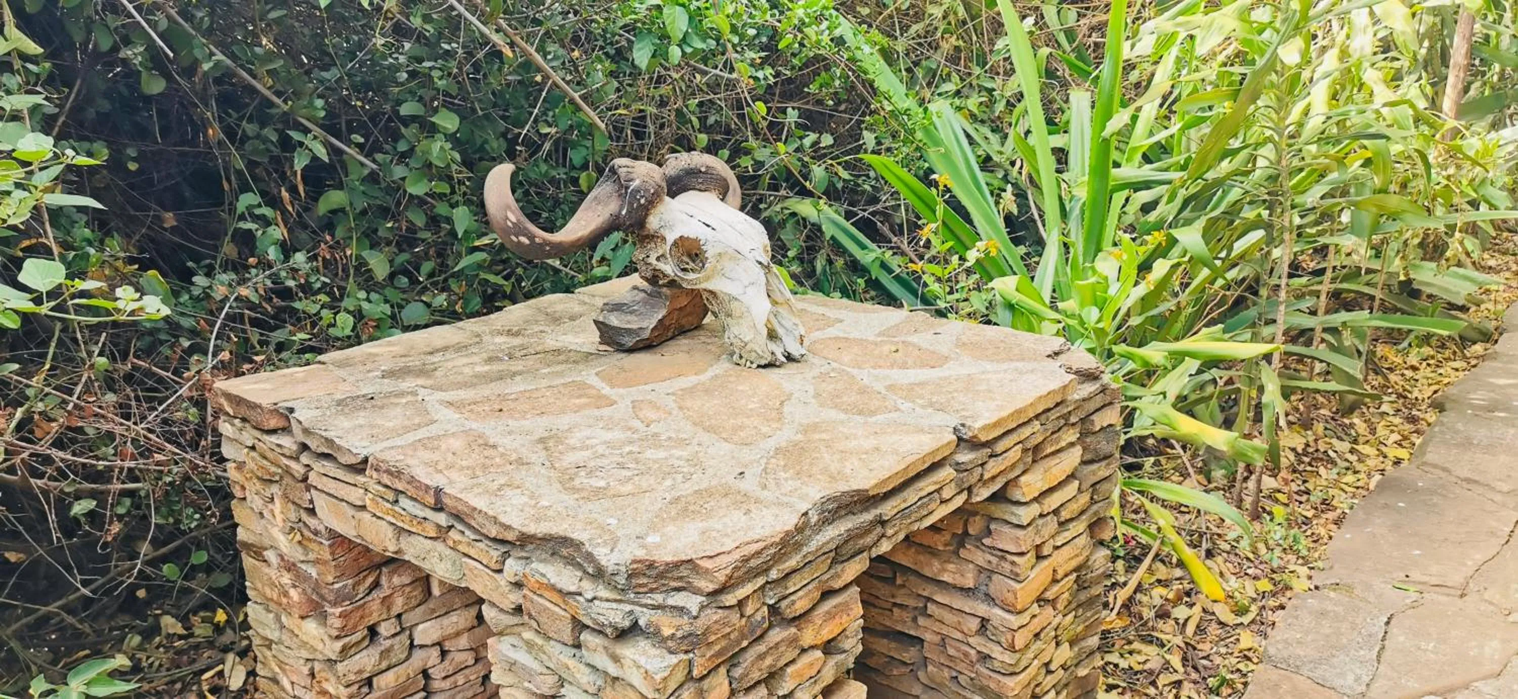 Other in Fig Tree Camp - Maasai Mara