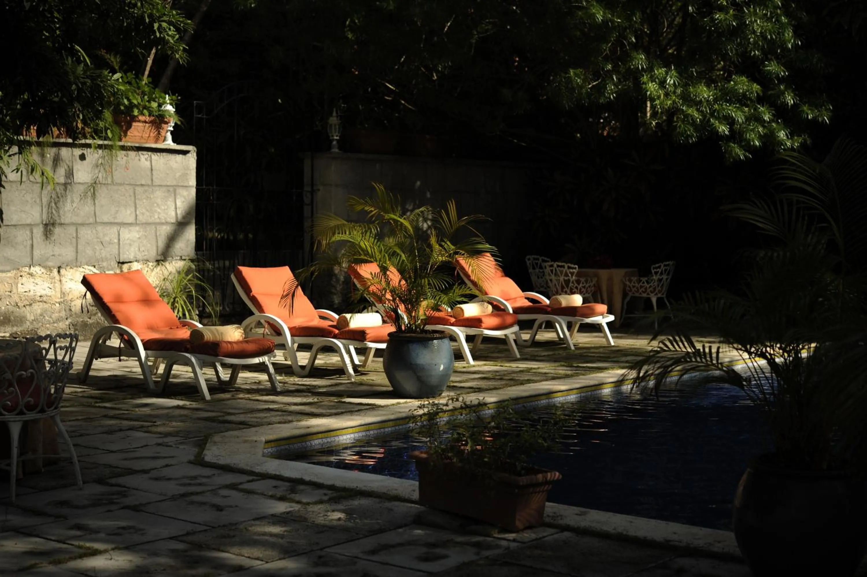 Garden in Graycliff Hotel