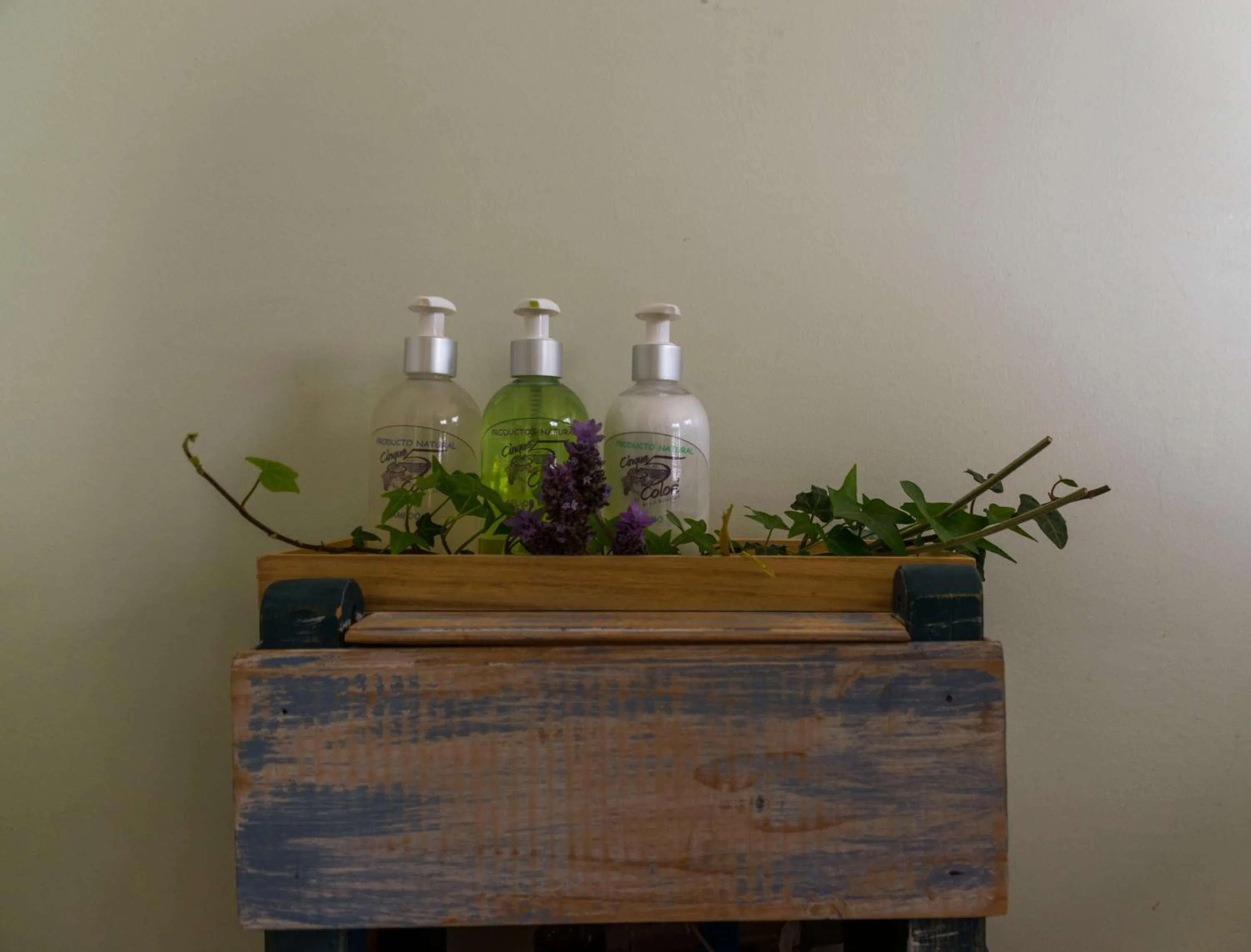 Hotel Cinque Colori Bed & Breakfast-Spa