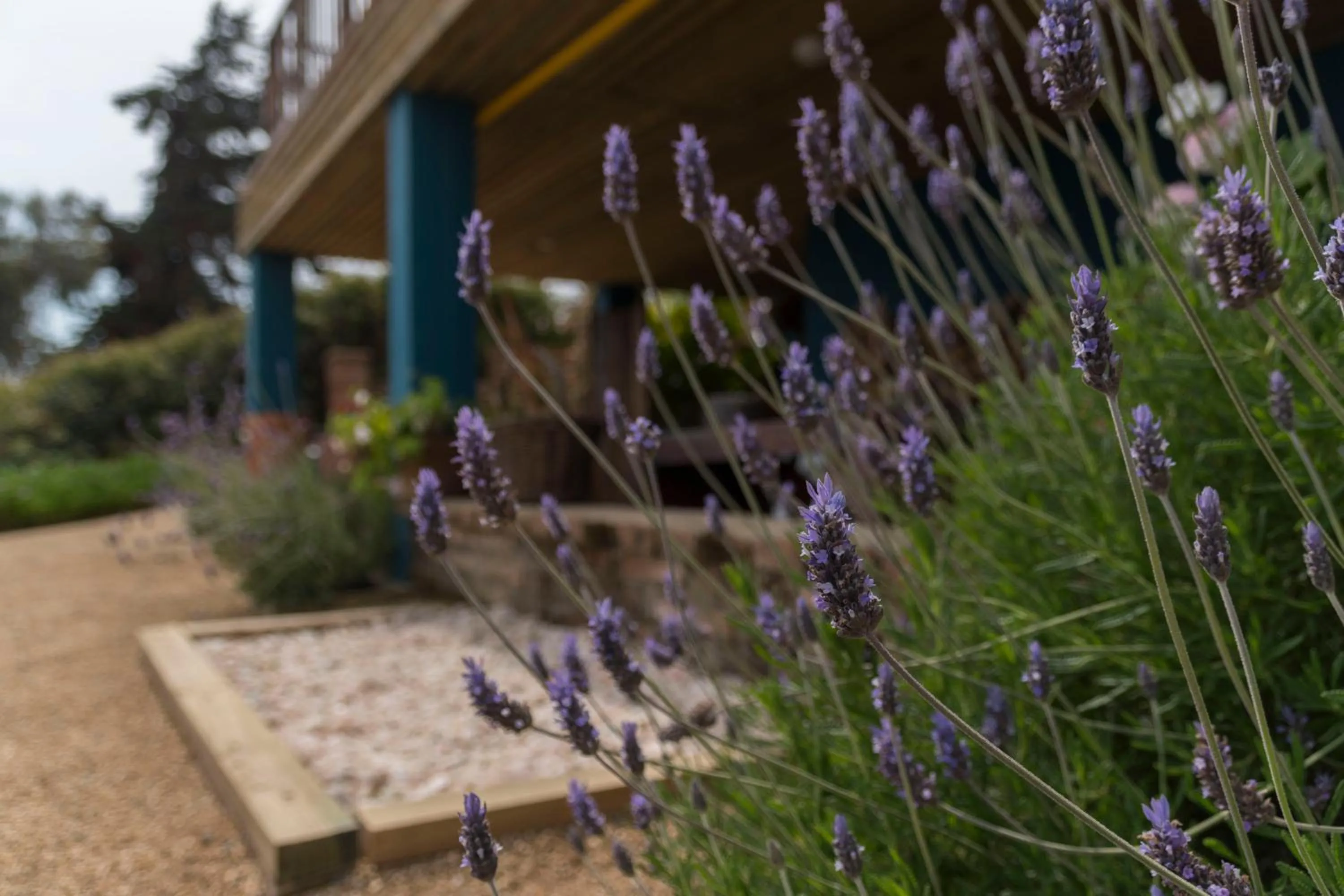 Hotel Cinque Colori Bed & Breakfast-Spa