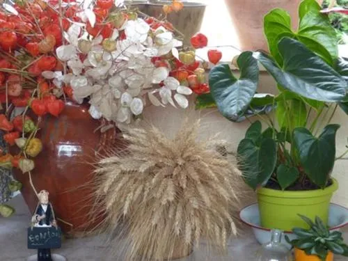 Property building in Maison d'Hôtes et Roulotte" Le 6 Bis"