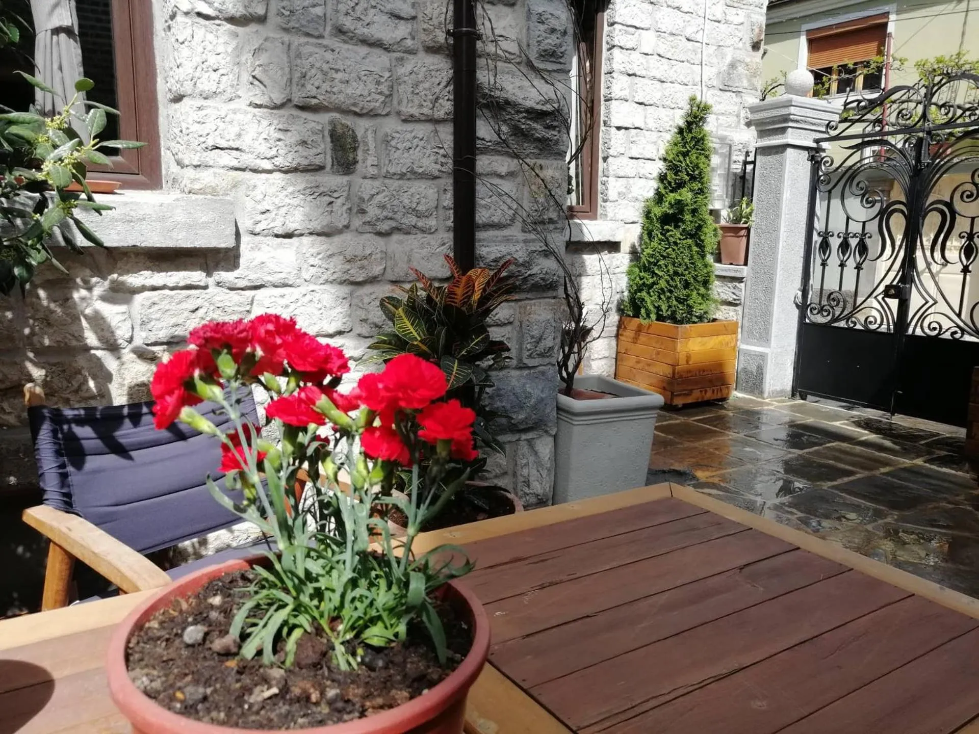 Garden in Vila Trebicka