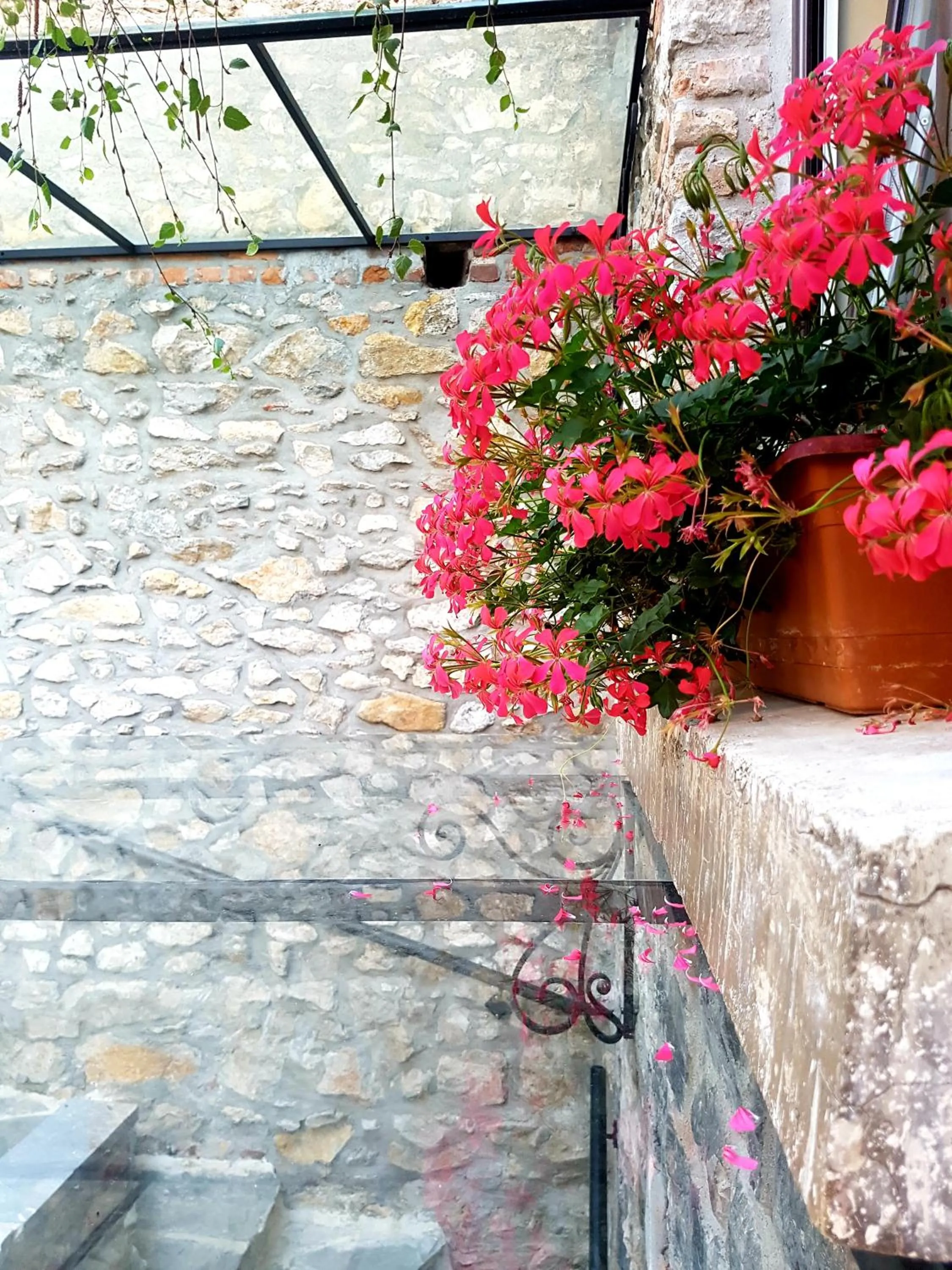 Property building in Vila Trebicka