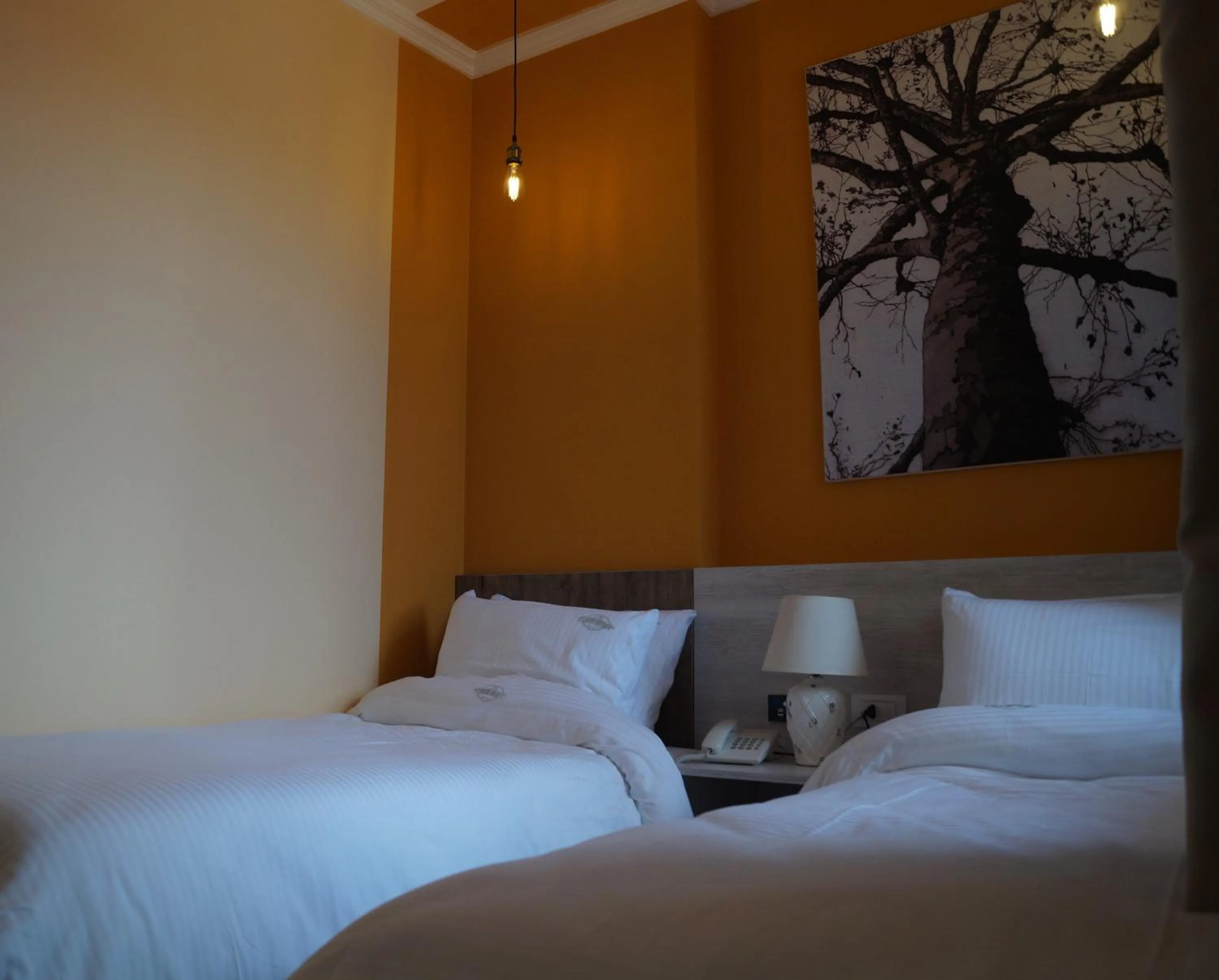 Patio, Bed in Vila Trebicka