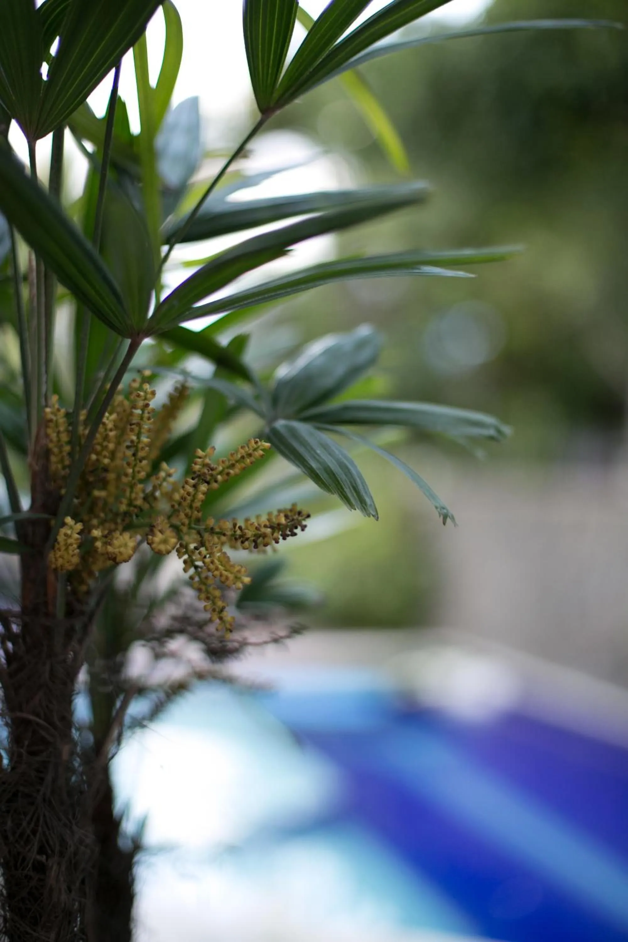 Swimming pool in Abayomi Hotel
