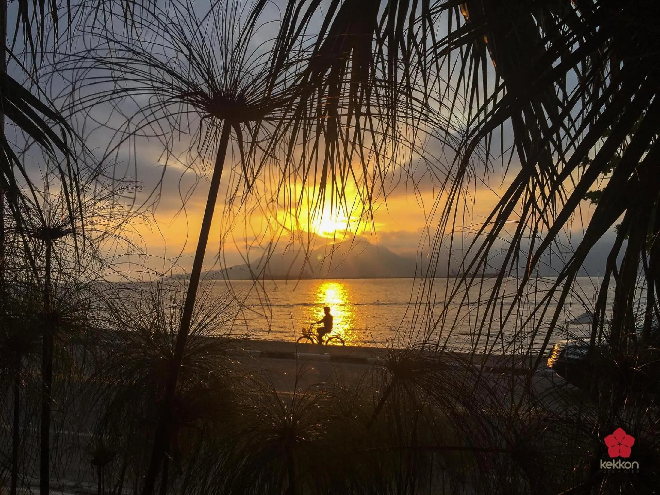 Beach in Abayomi Hotel