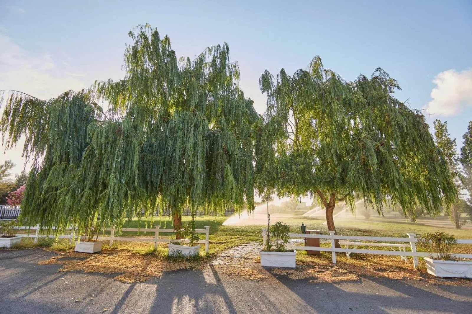 Golfcourse in Hotel Quadrifoglio