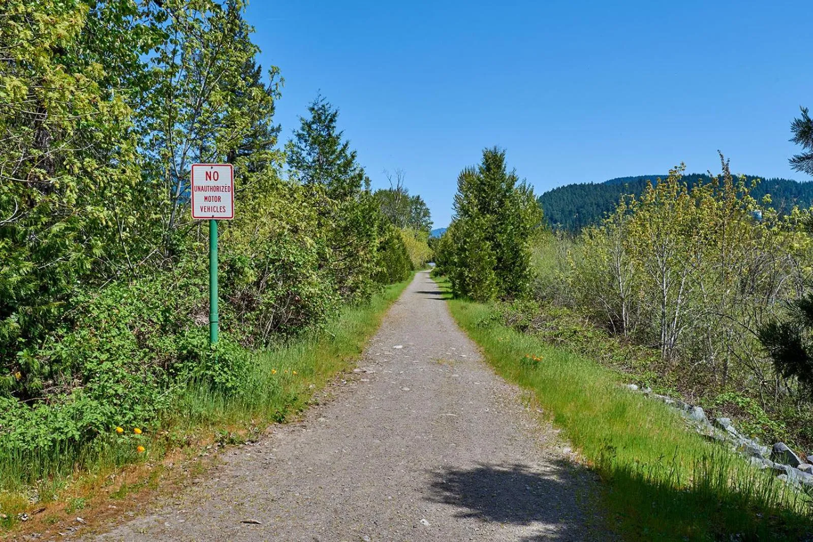 Natural landscape in Arbor Inn Motel Oakridge
