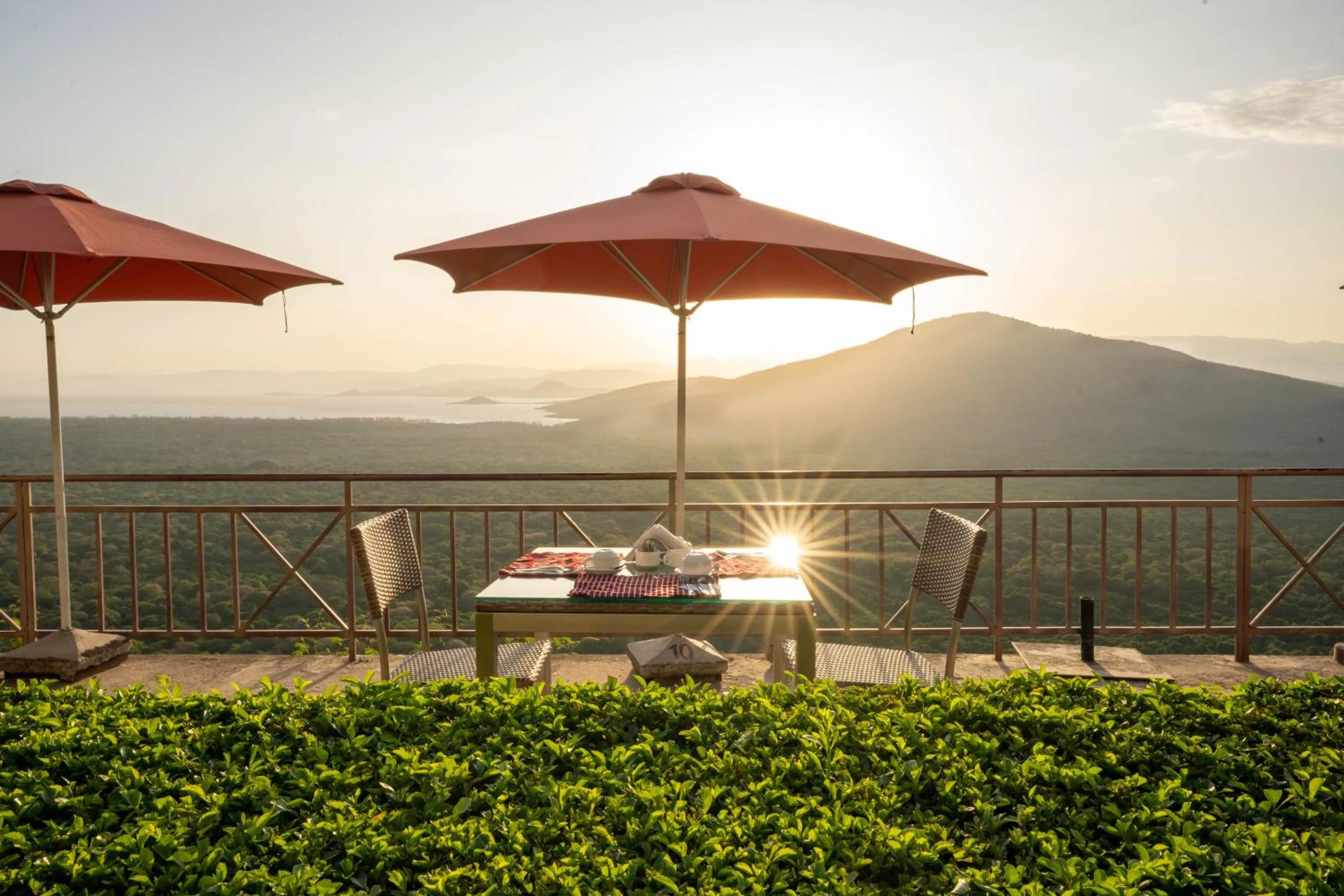 View (from property/room) in Haile Resort Arbaminch