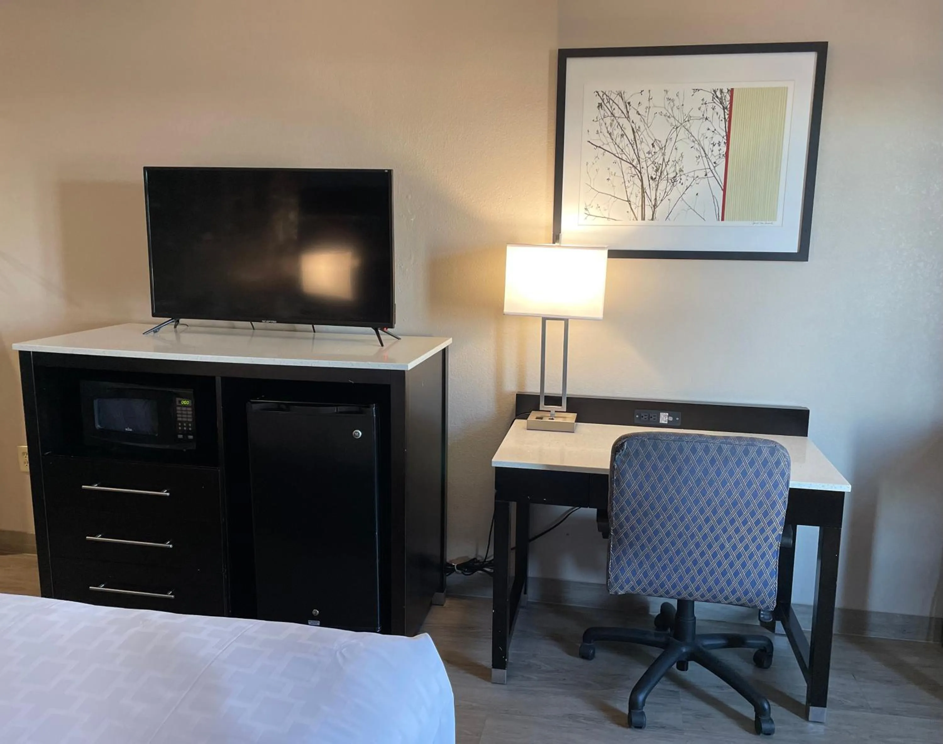 TV and multimedia, Bed in Clarion Pointe Atlanta Airport College Park