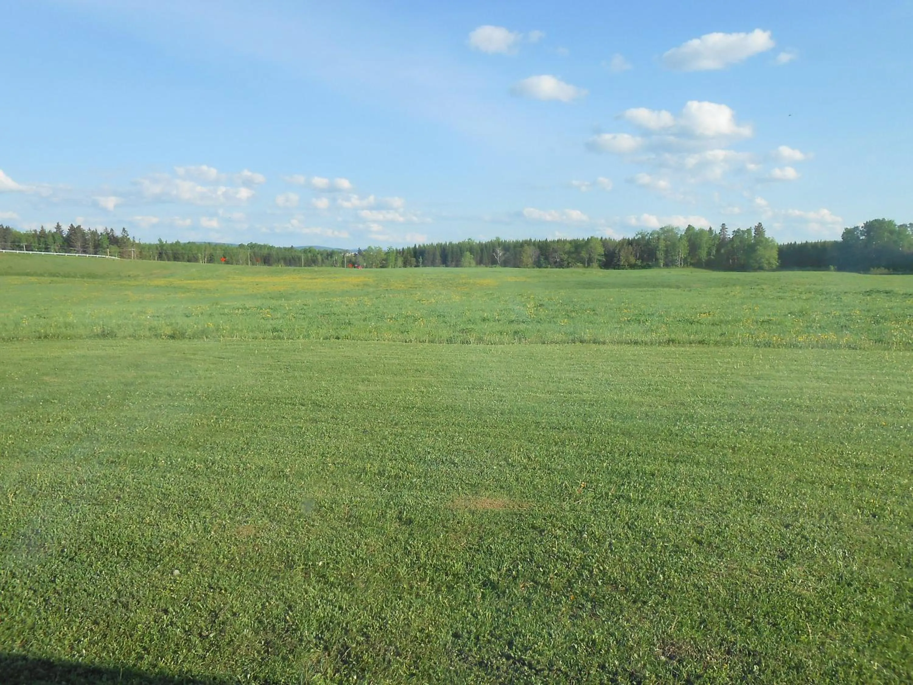 View (from property/room) in Knights Inn Woodstock
