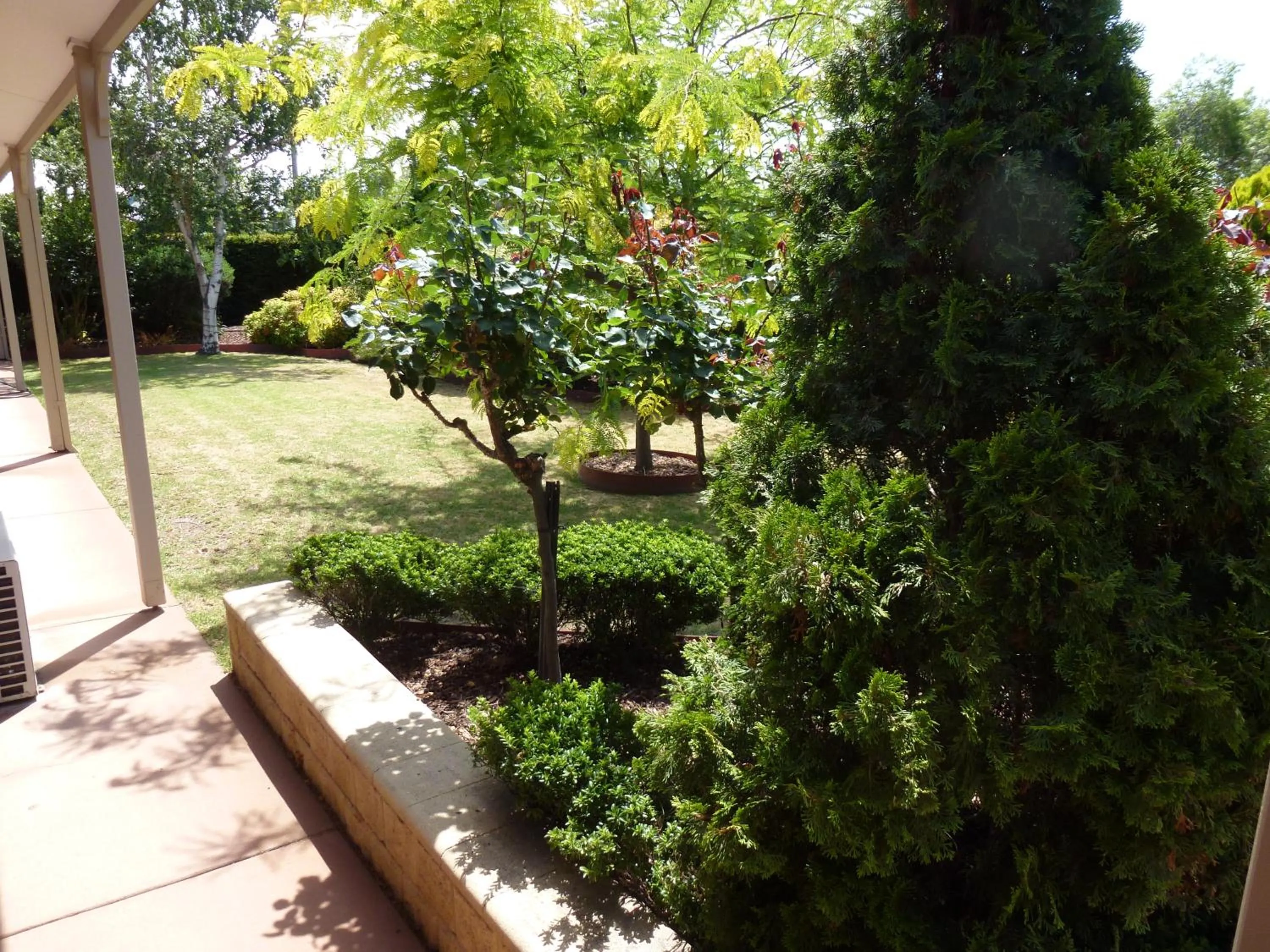 Garden view in Colonial Motor Inn Bairnsdale Golden Chain Property