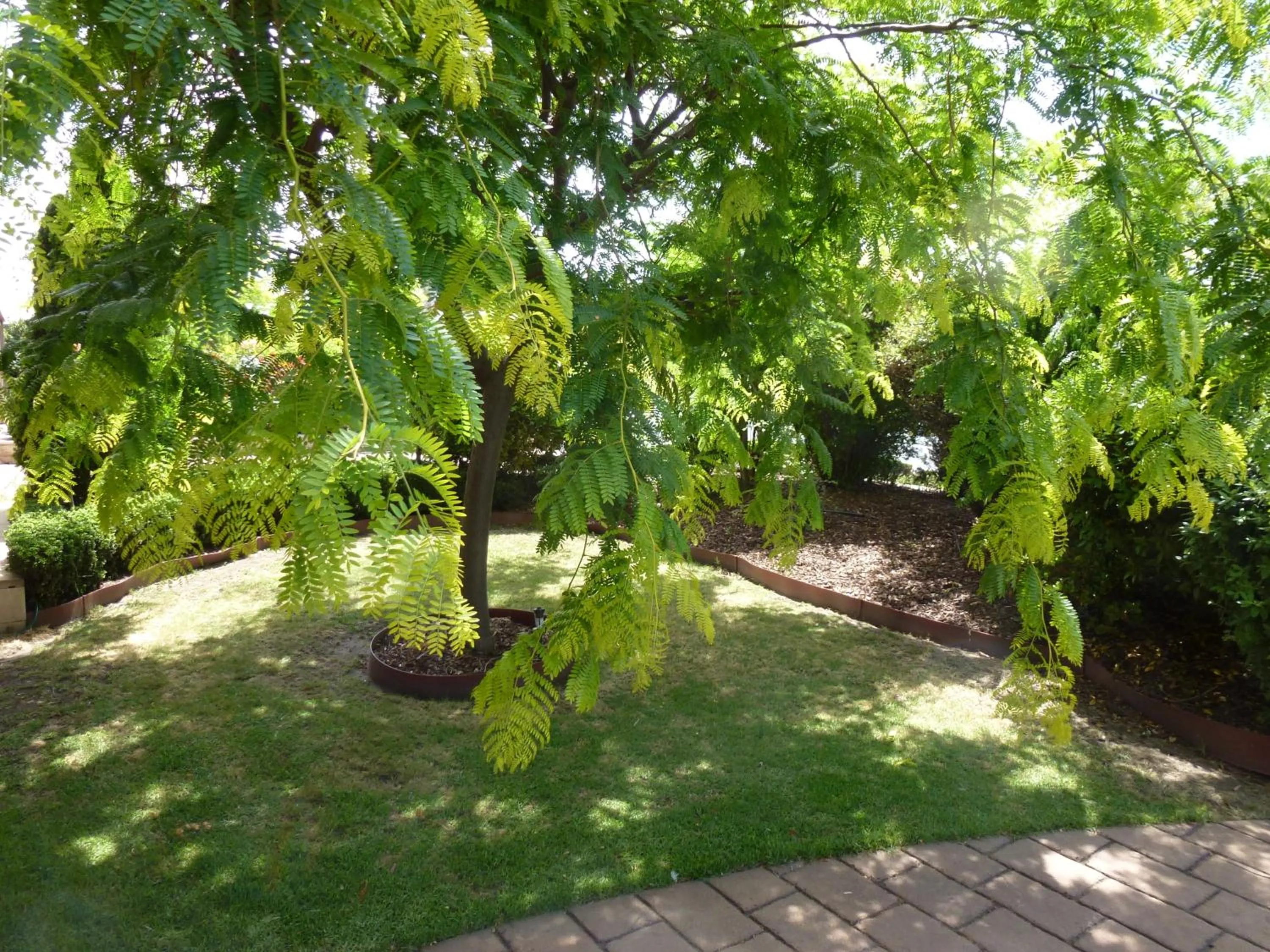 Garden view in Colonial Motor Inn Bairnsdale Golden Chain Property