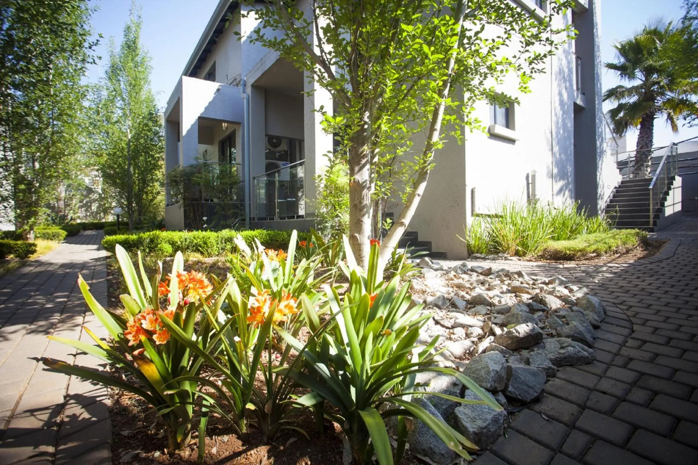 Garden in Villa Moyal