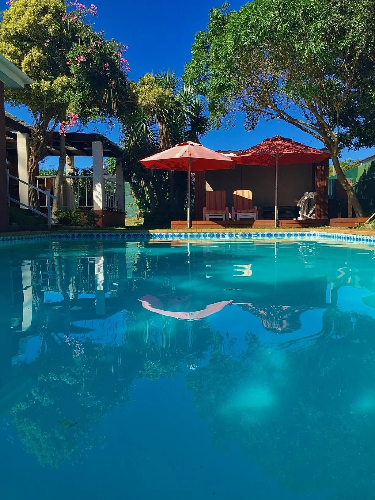 Swimming pool in Brown Jug Guest House