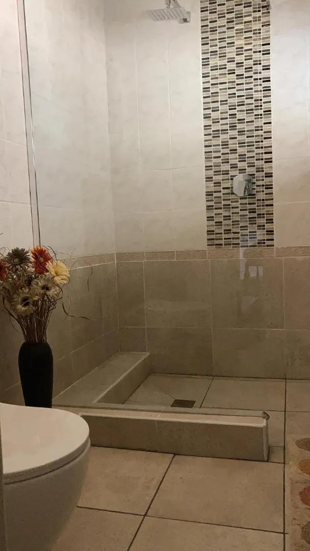 Shower in Brown Jug Guest House