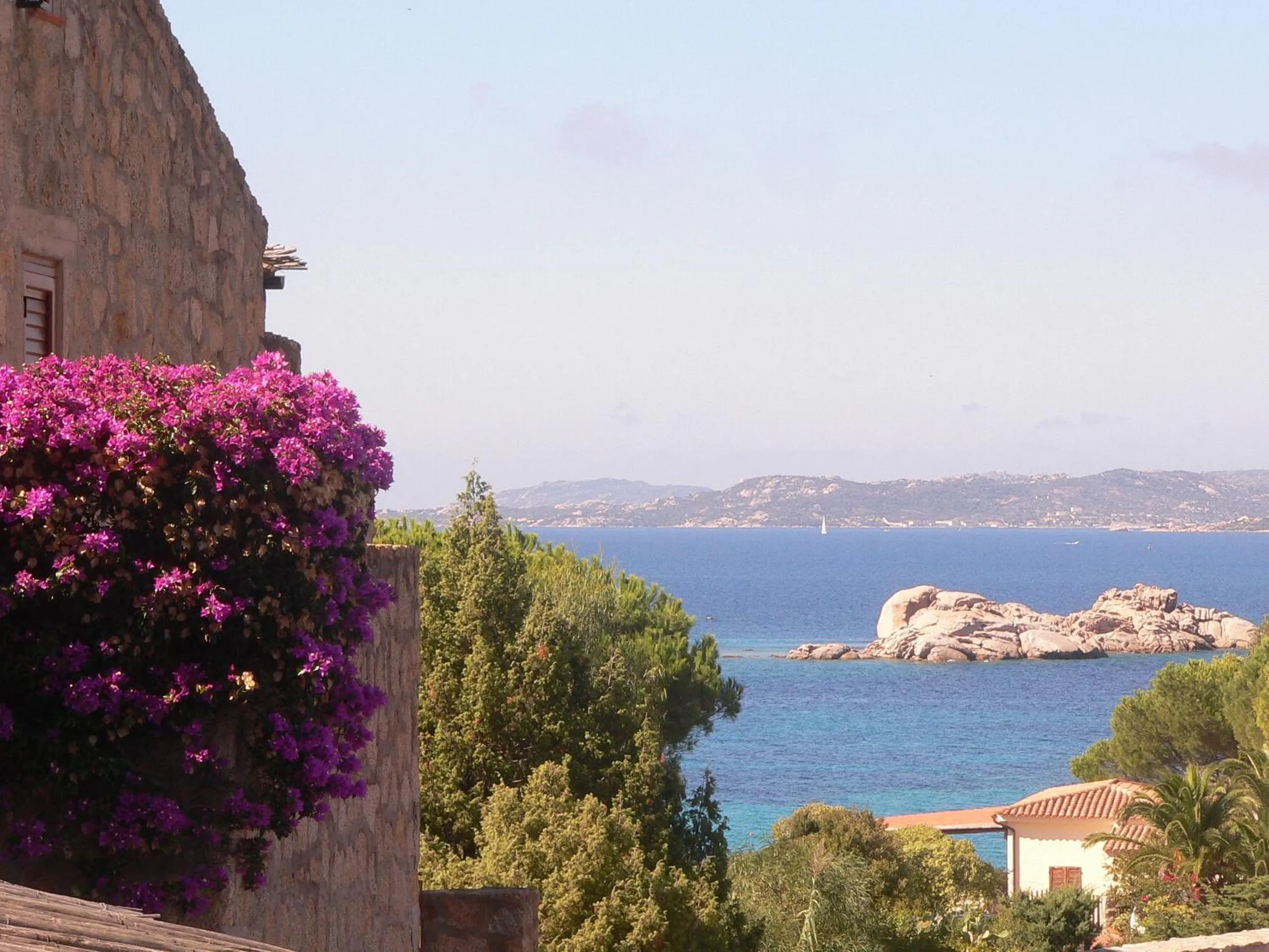Garden view in Hotel Olimpia