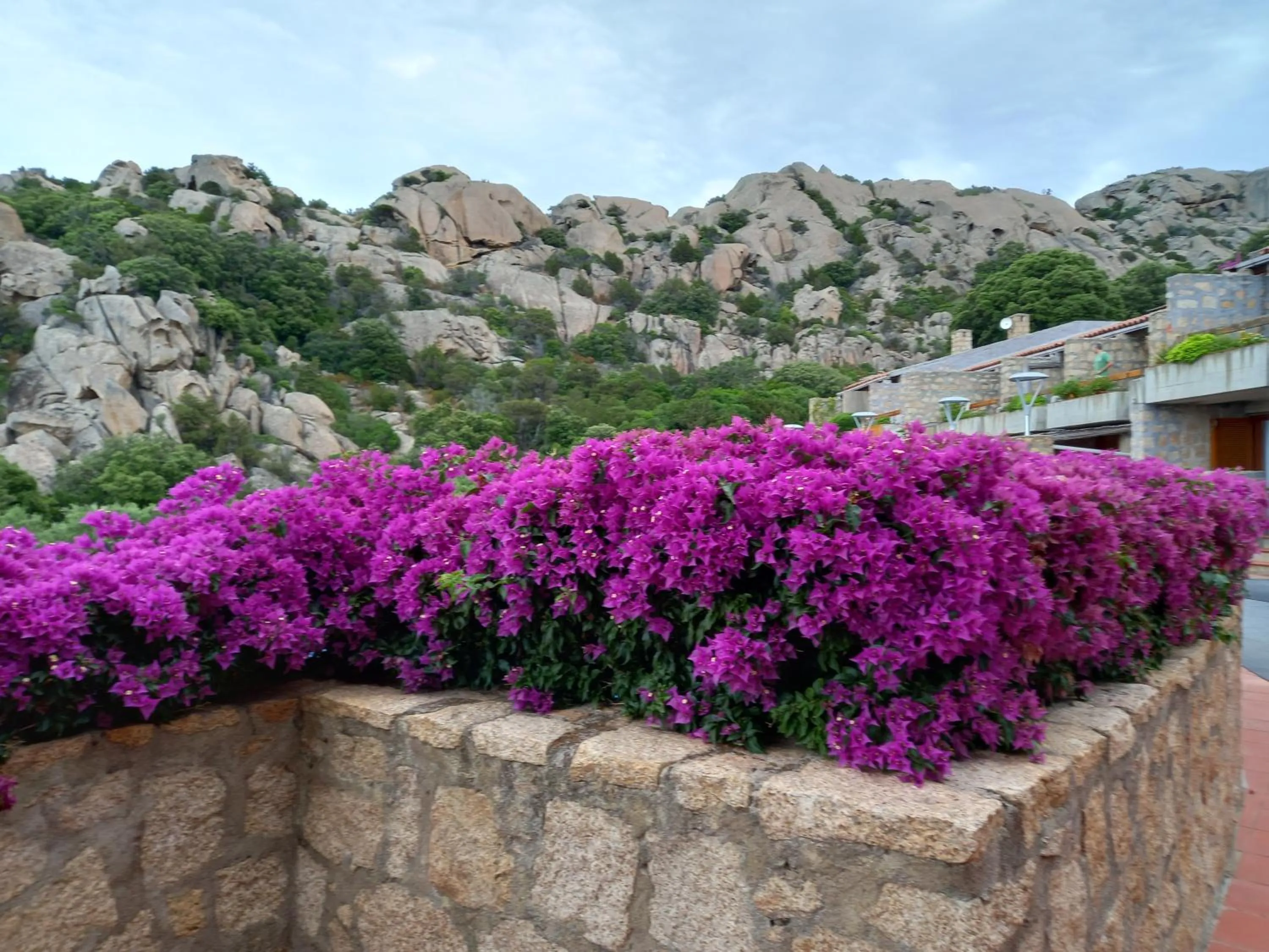 Natural landscape in Hotel Olimpia