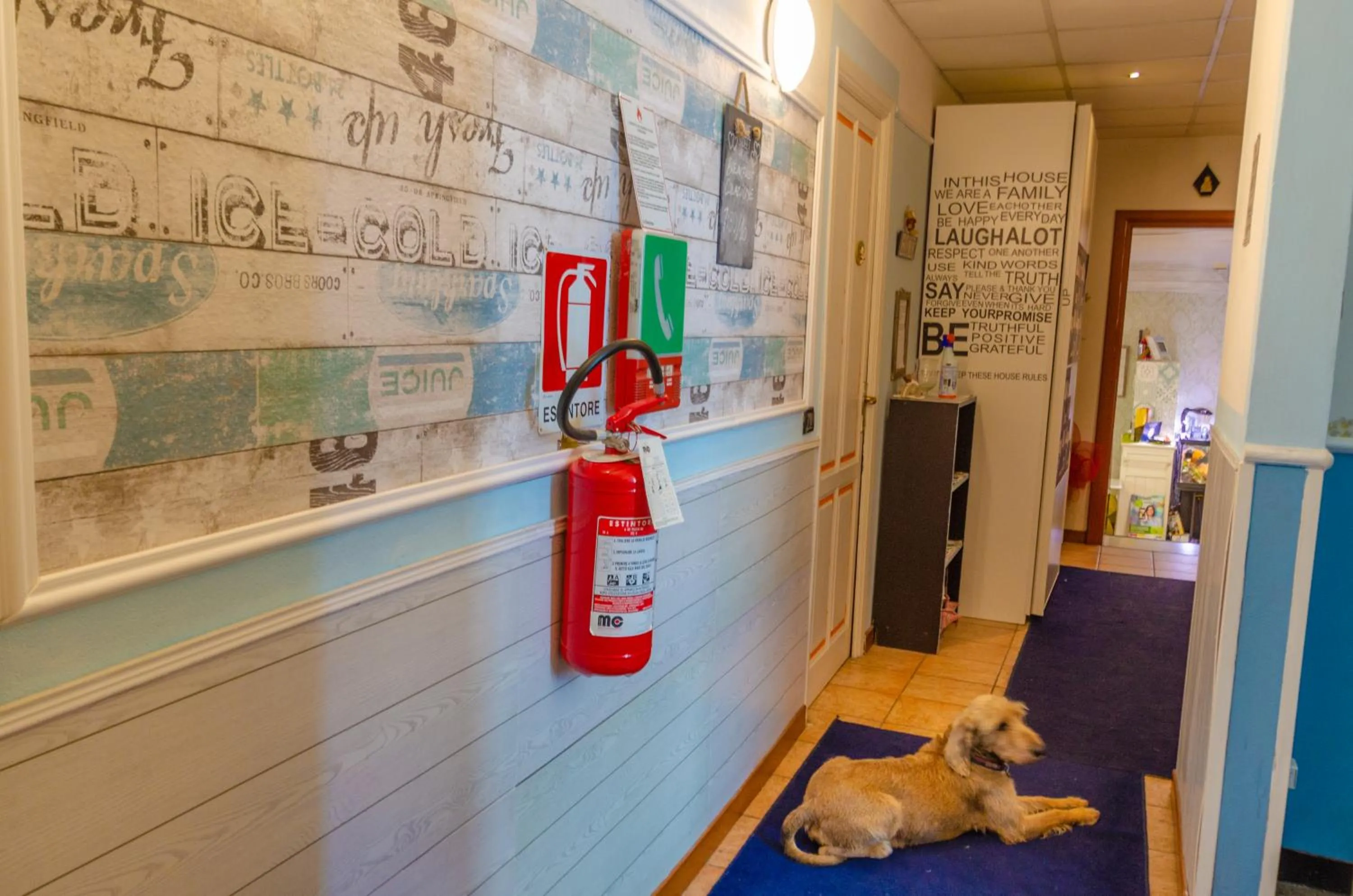 Pets in Hotel San Desiderio