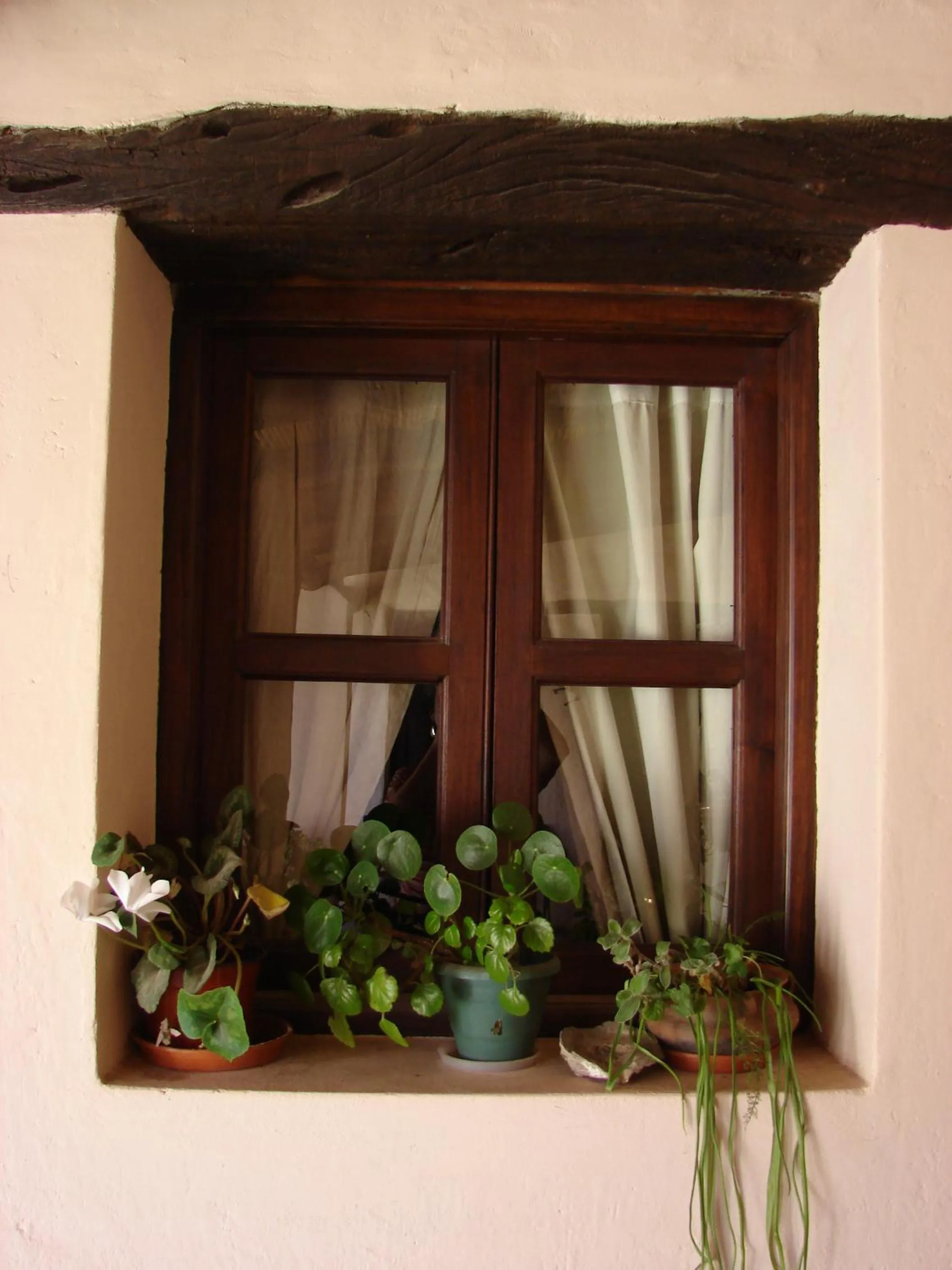 Garden in Hotel Norte Rupestre