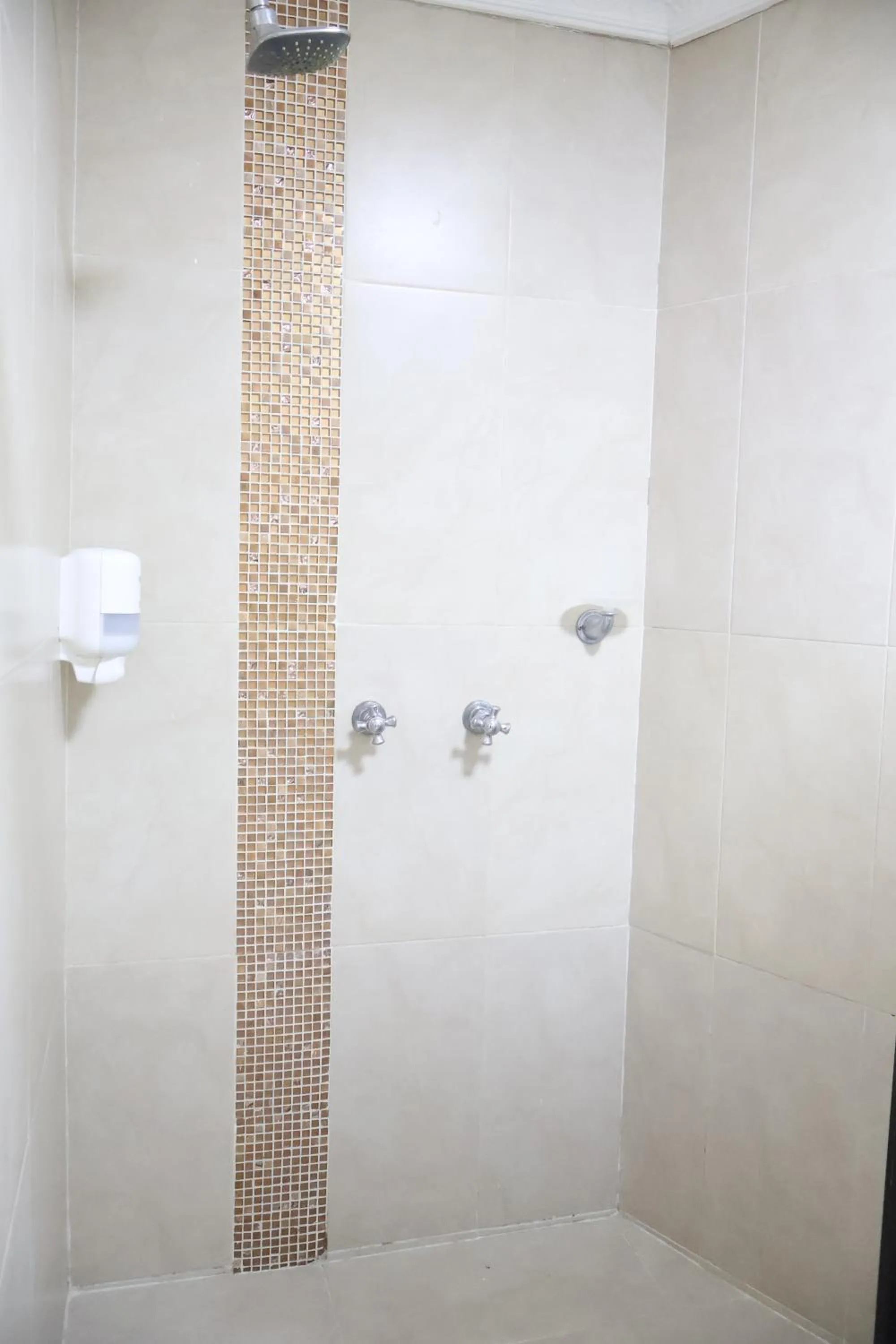 Shower in Hotel El Dorado
