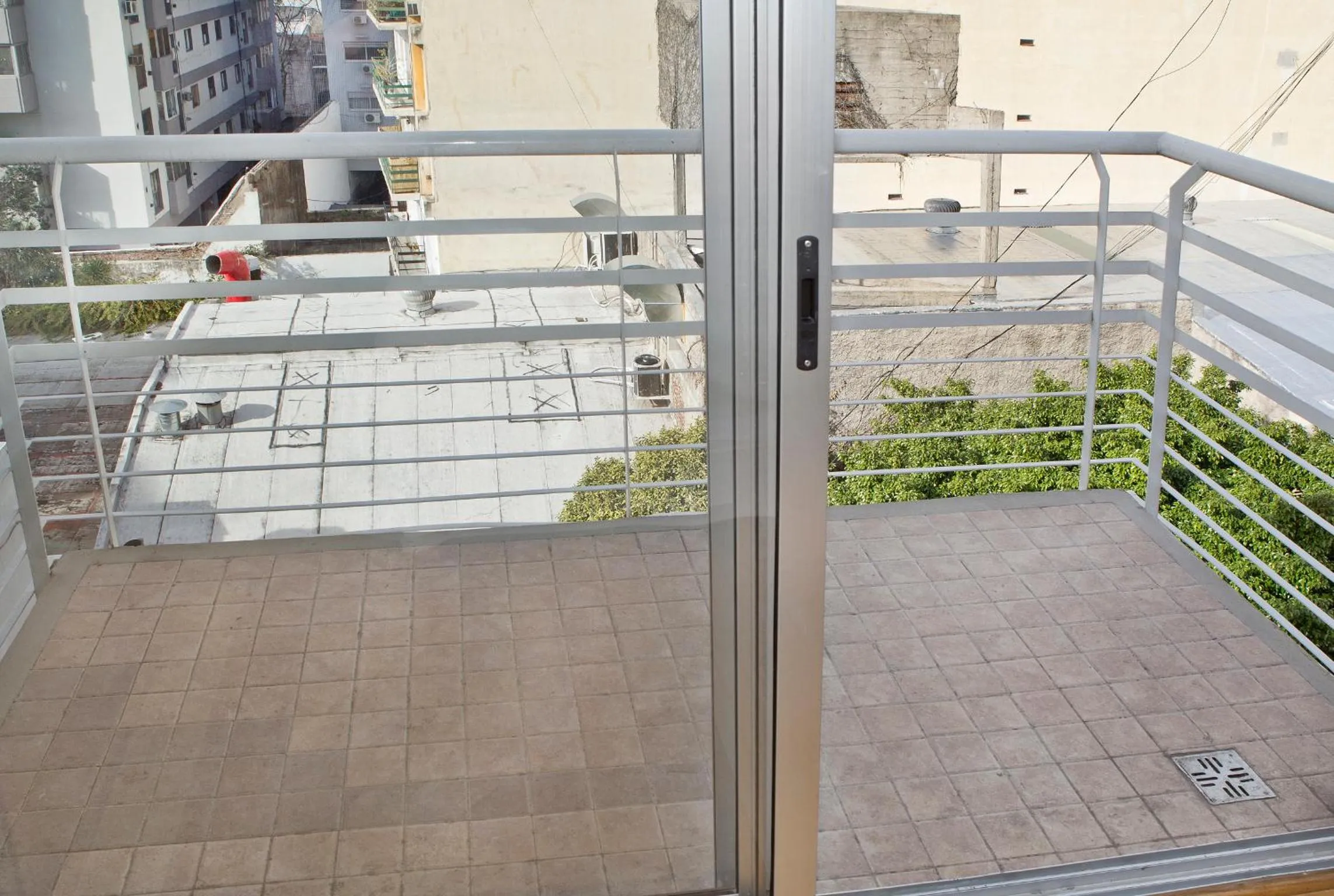 Day in Color Botánico