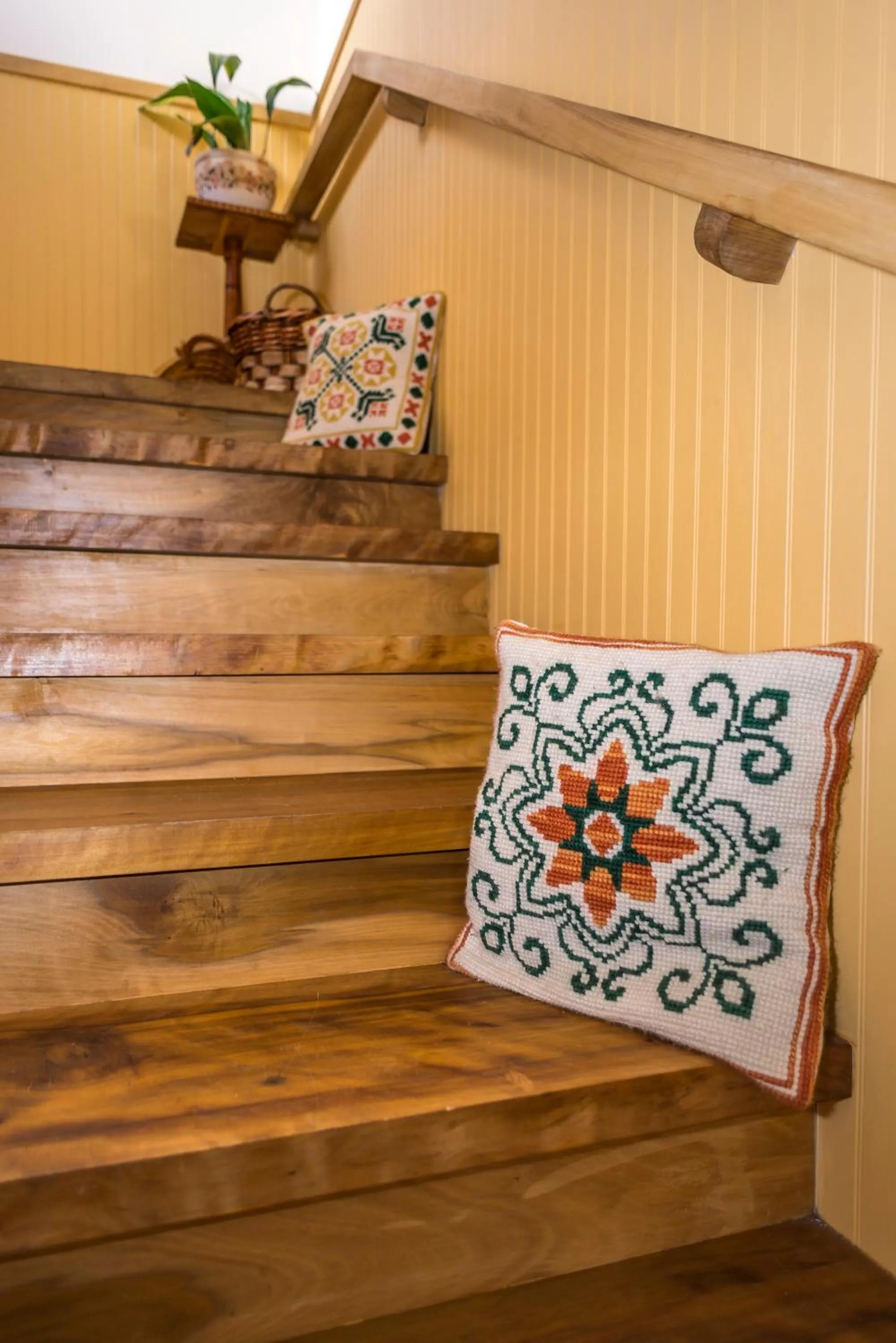 Area and facilities in Weisserhaus