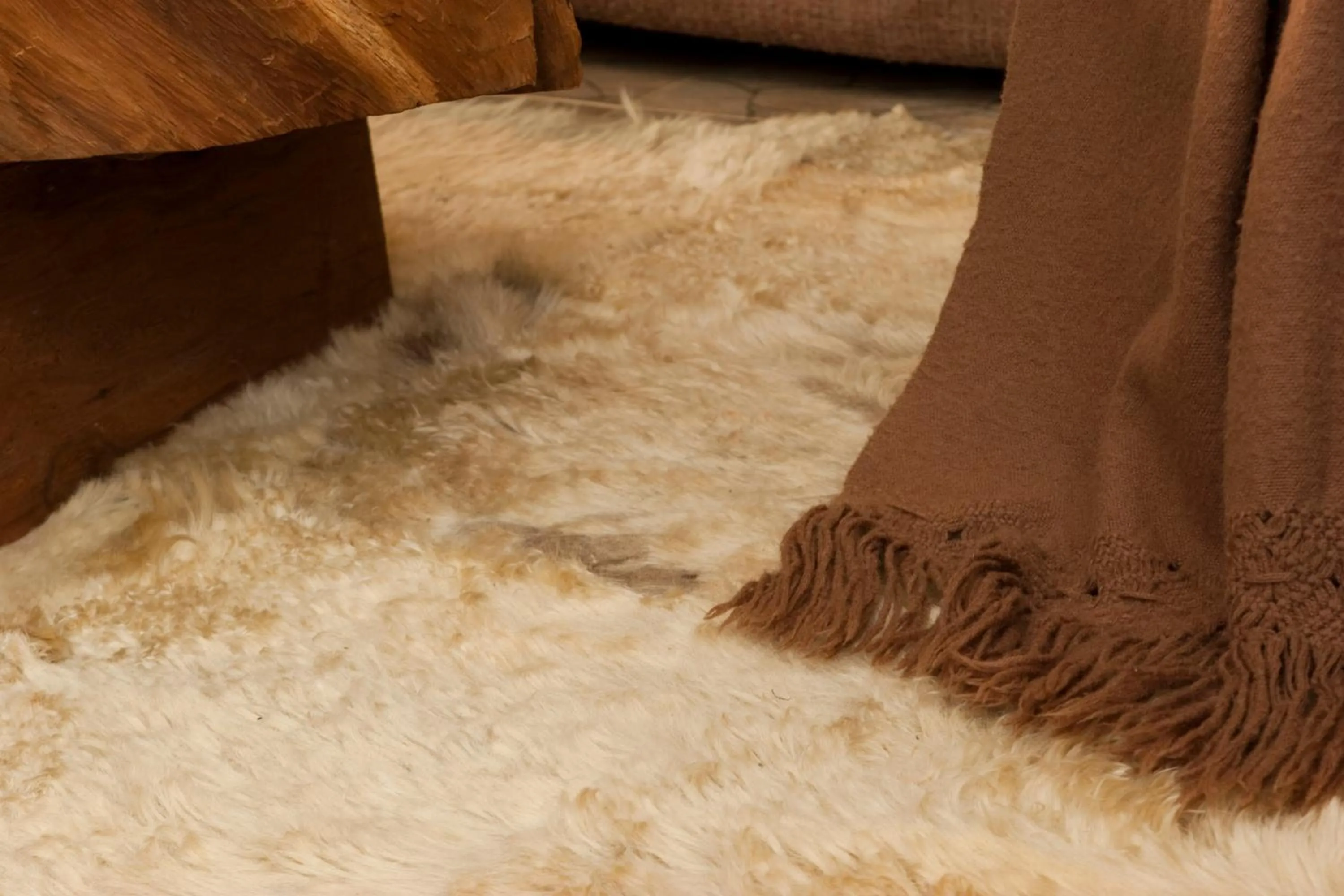 Decorative detail in Weisserhaus