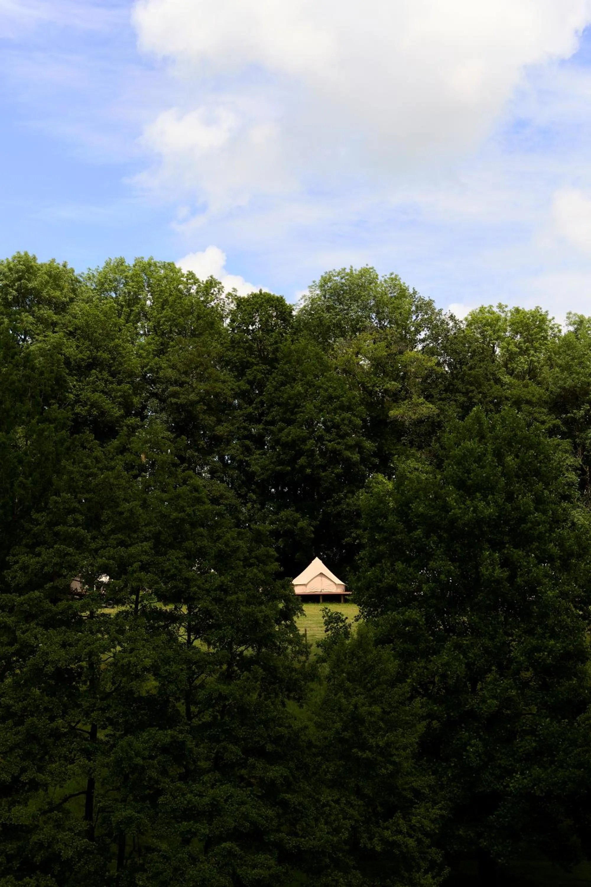 Château de la Chapelle