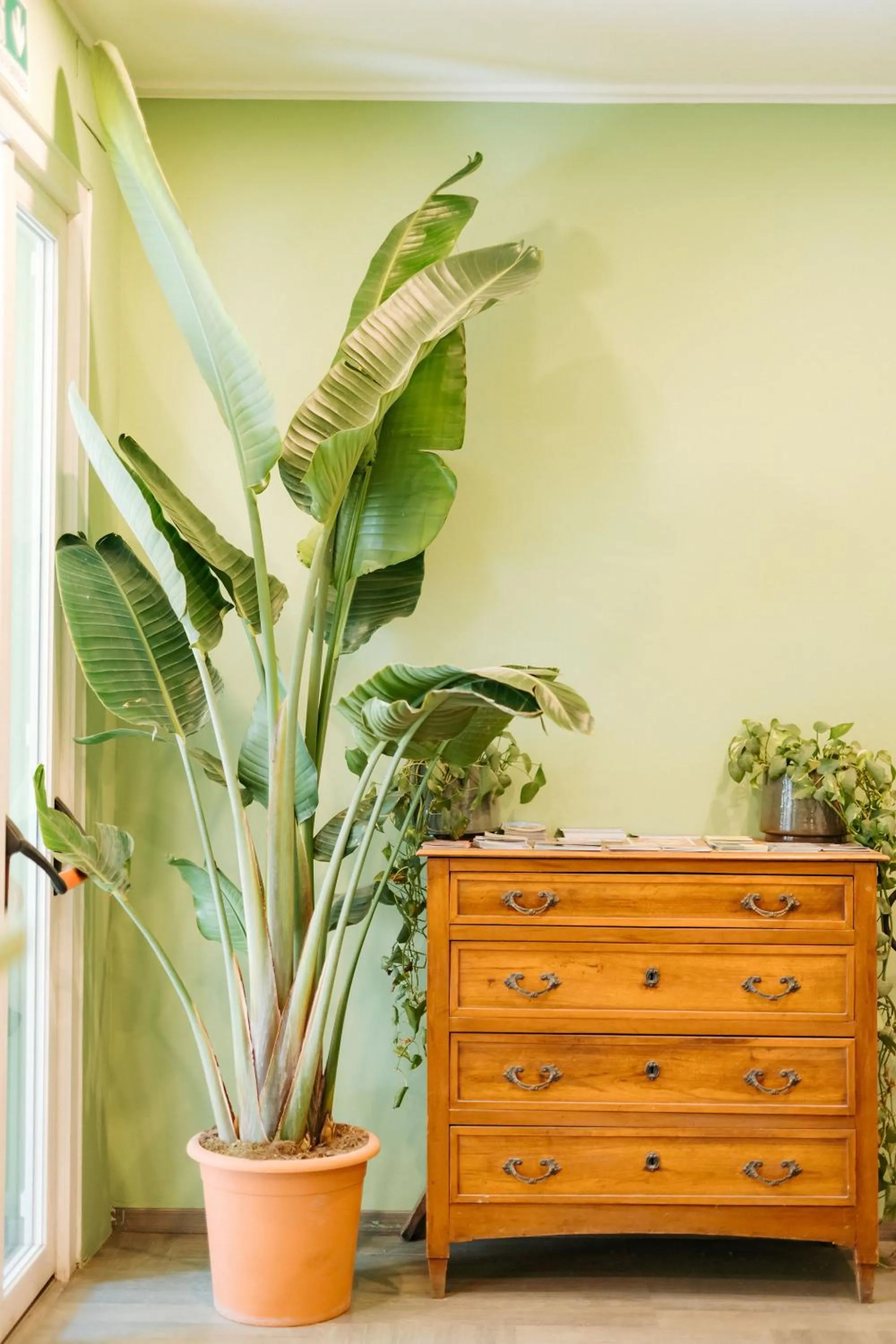 Lobby or reception in Tomato Urban Retreat